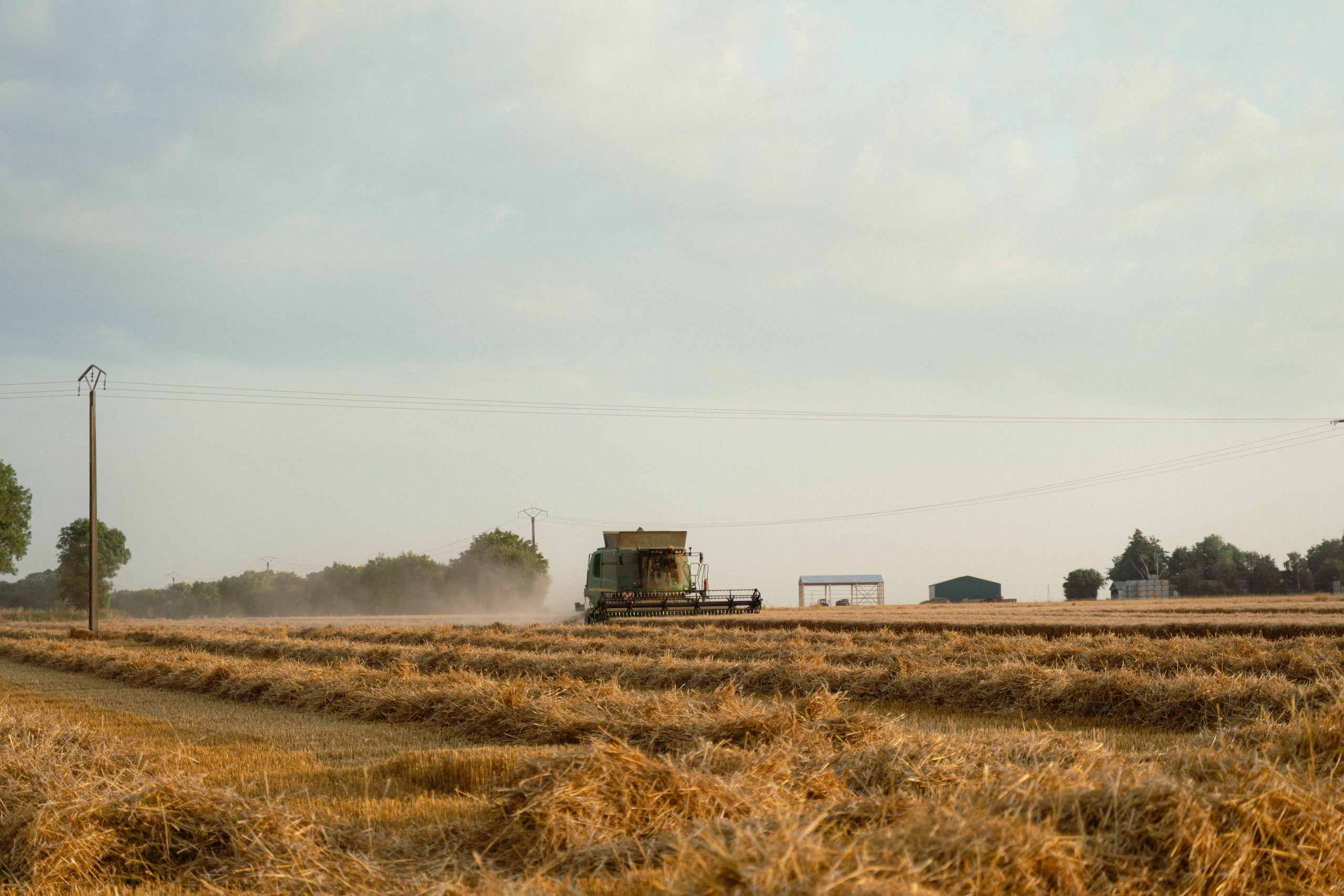 Entreprise agricole. Weeding photographer / event / portrait