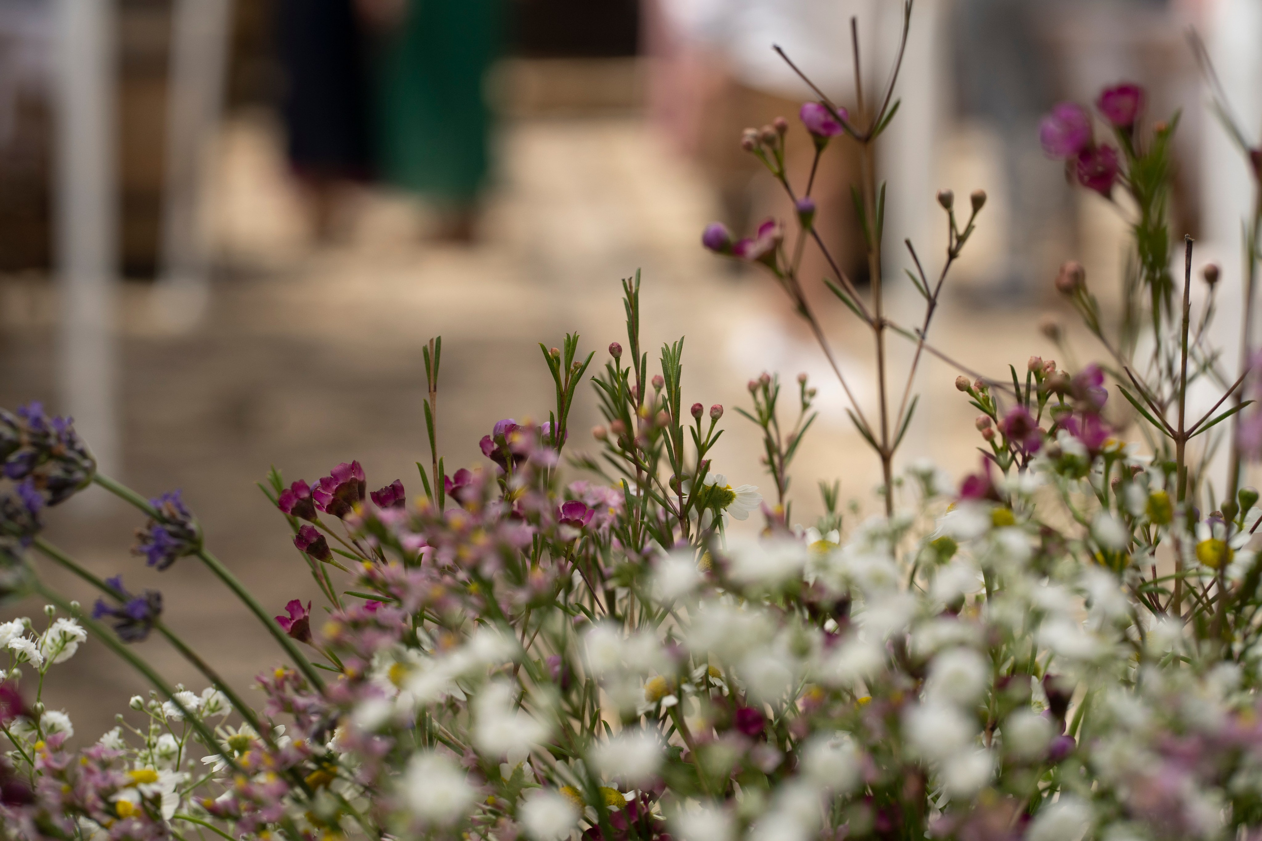 Bruna et Richard. Photoshoot in France