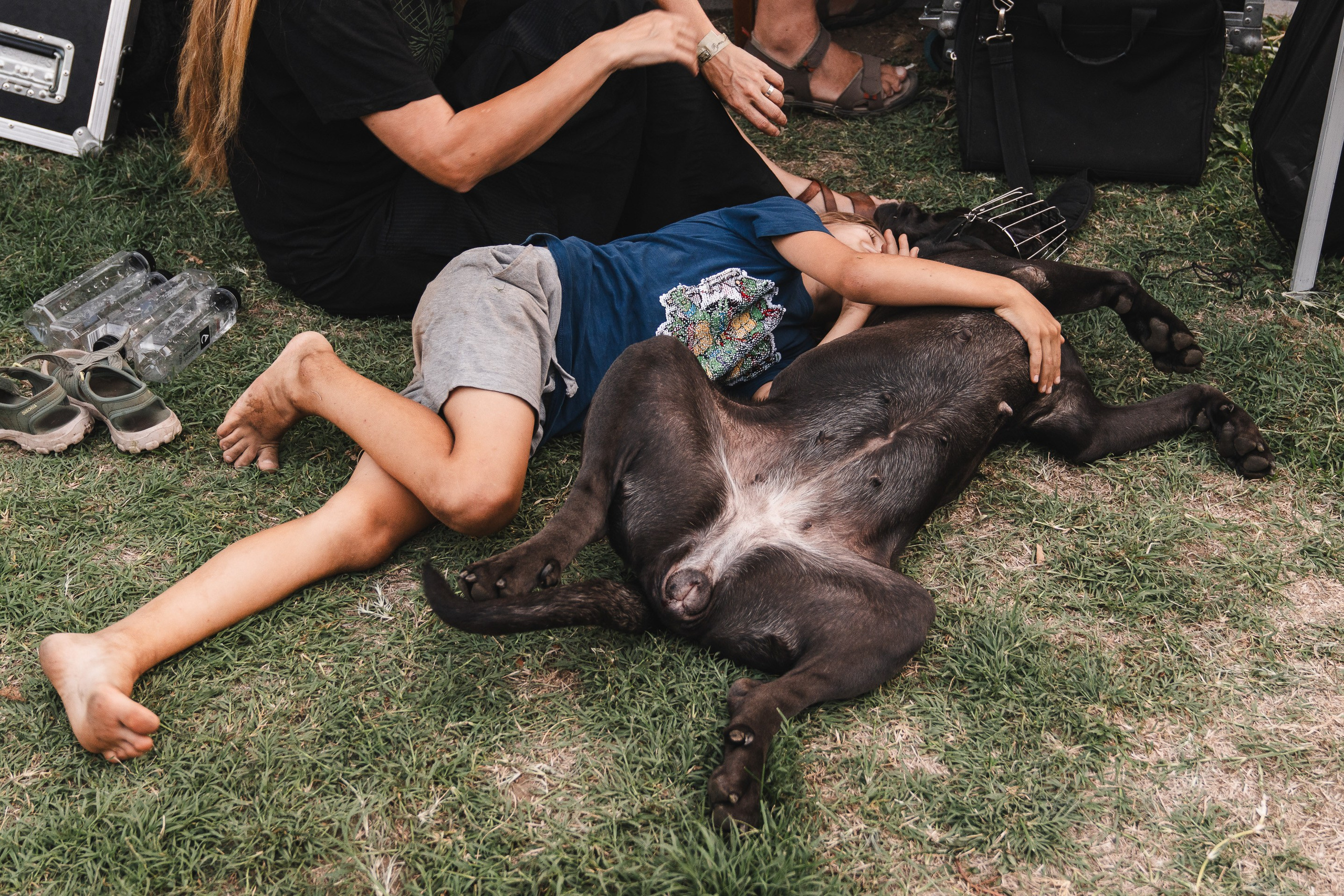 Dark Bombastic Evening (Editia 11 — 2025). Fotograf evenimente. Fotograf nunta. Fotograf Botez. Mihaela Savu