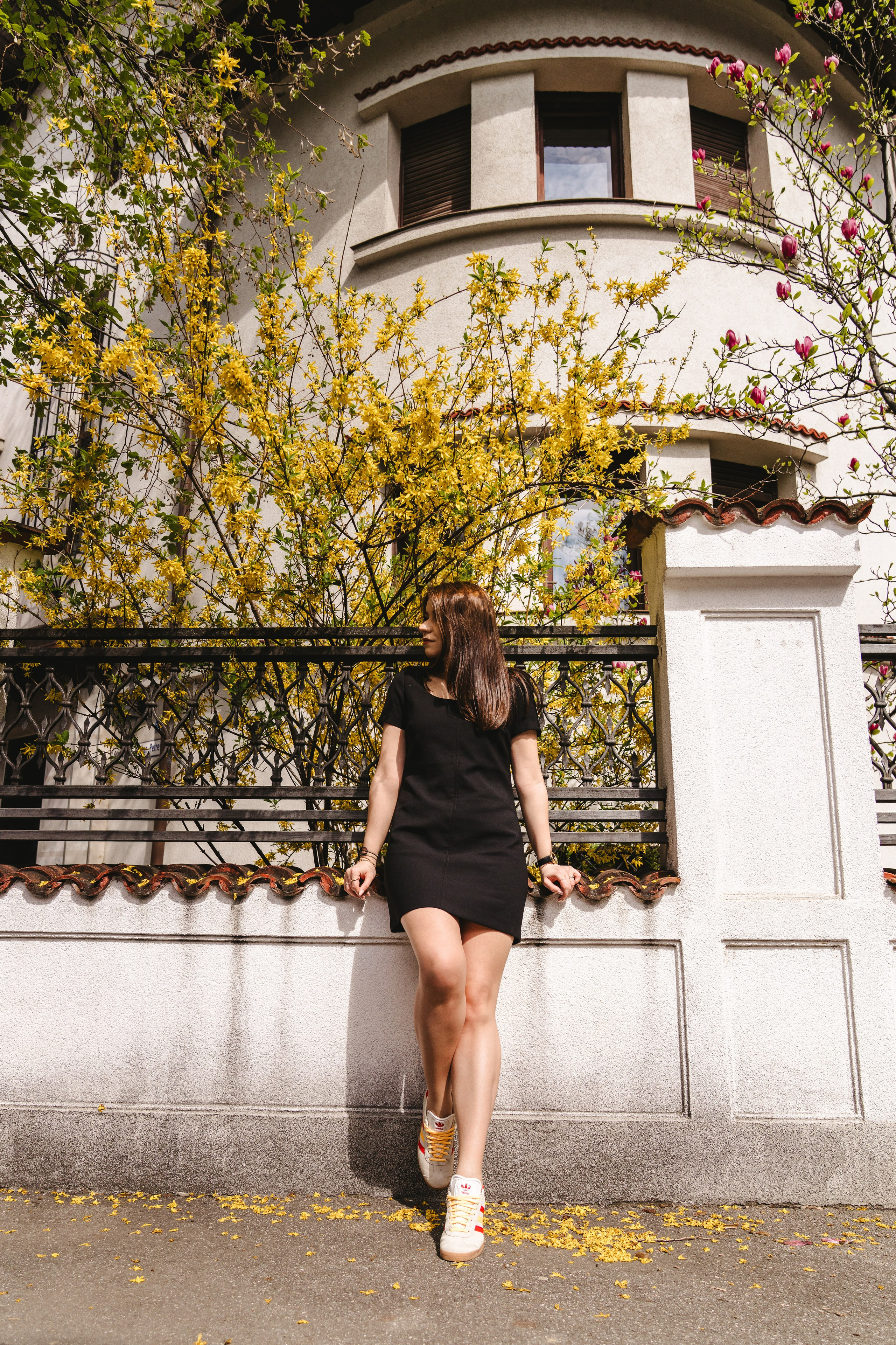 Andrada & Marius (ședință foto primăvară). Fotograf evenimente. Fotograf nunta. Fotograf Botez. Mihaela Savu