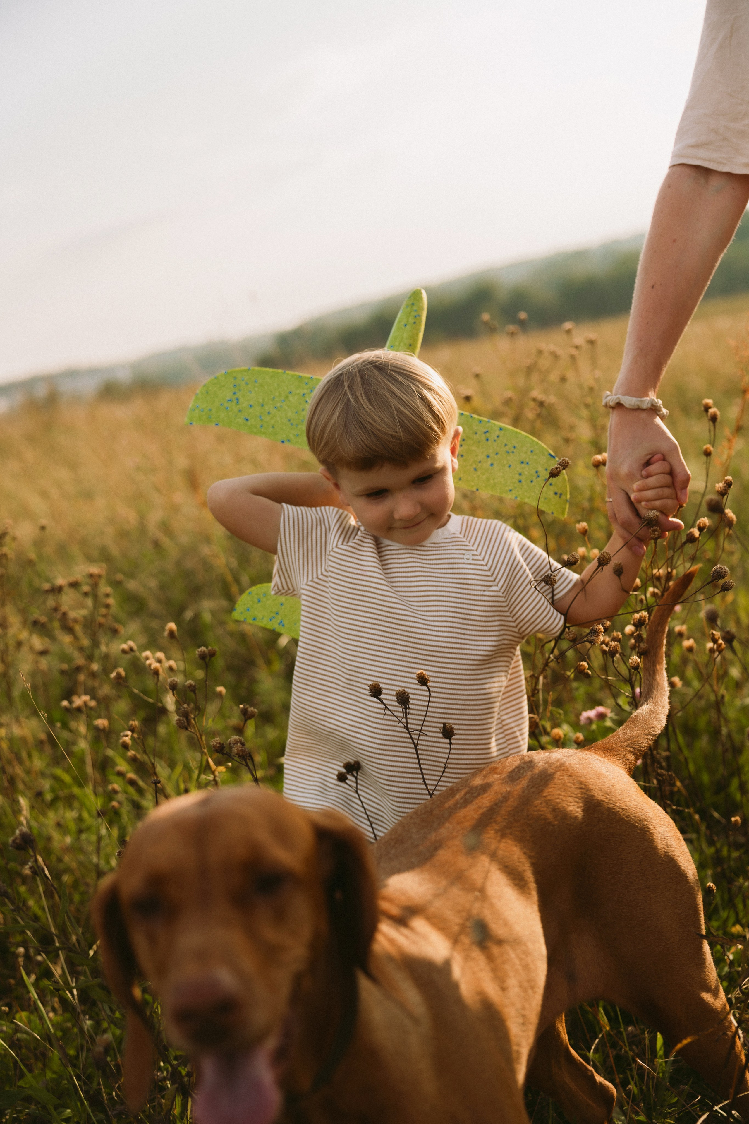 Simonos ir Mariaus šeima | PIEVA. Vestuvių ir šeimų fotografė Lena Bondarenko / belove photo