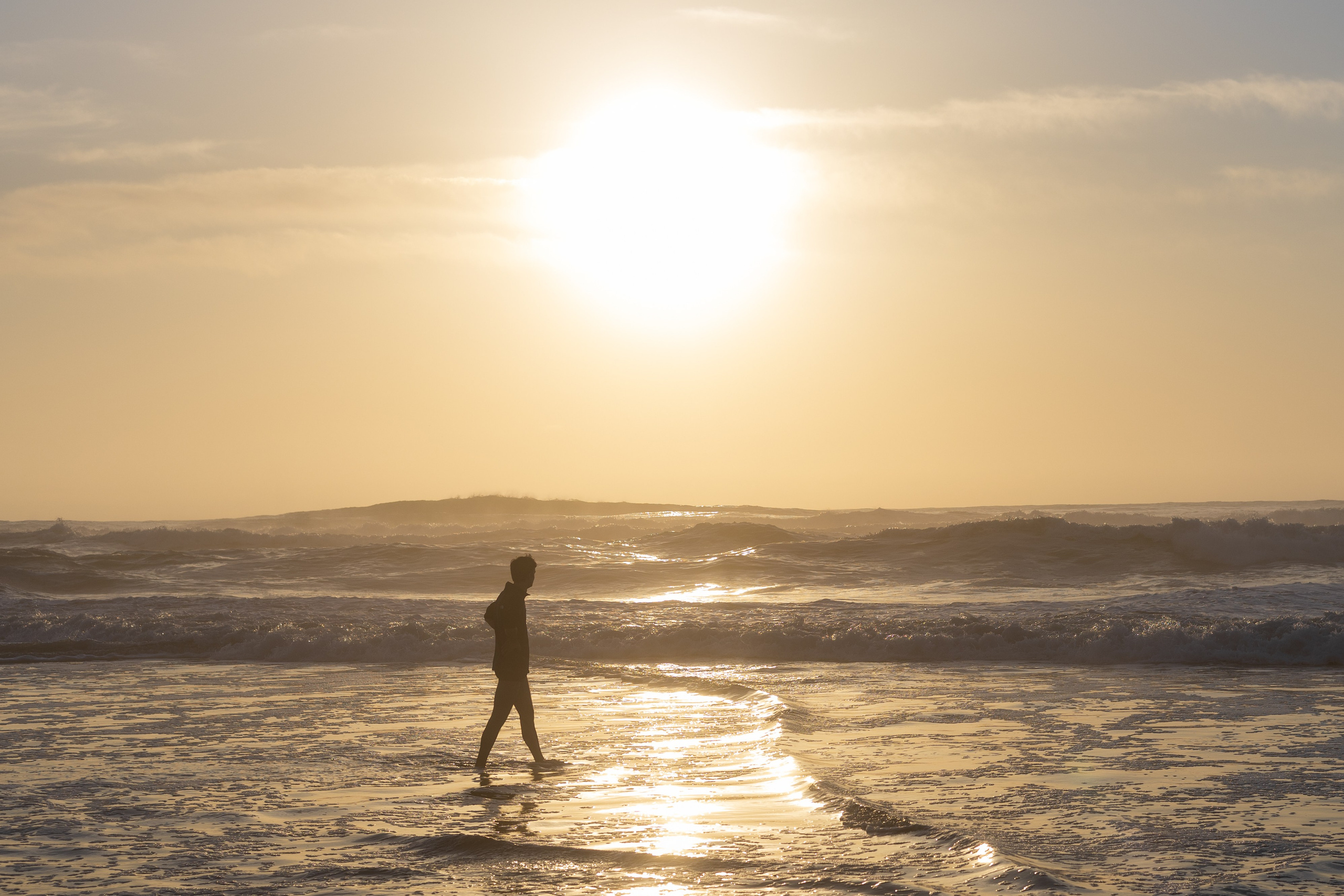 San Francisco. Aleks.photo | Book a photoshoot