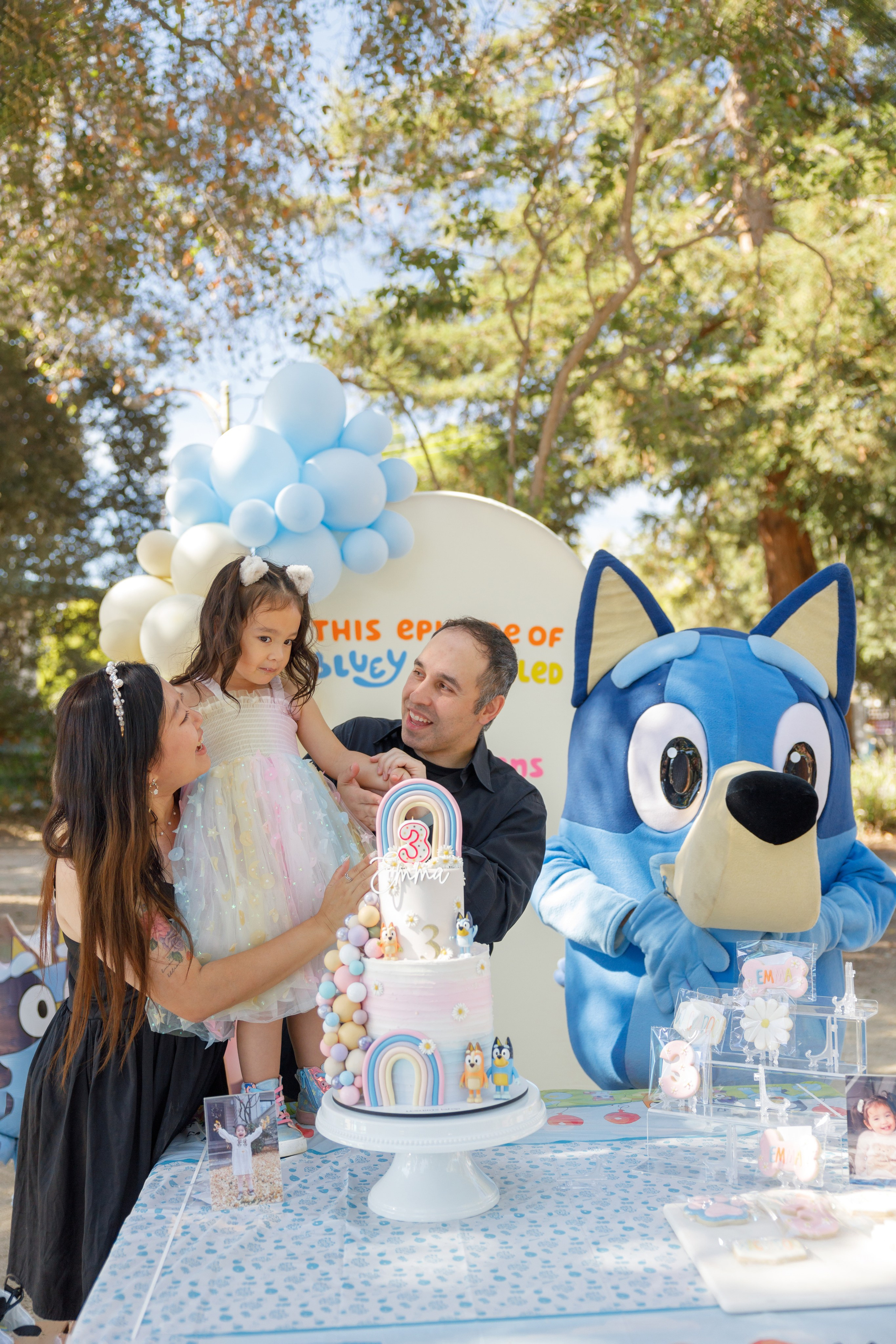 3rd birthday. Family and Event photographer in Bay Area Elena Tiuriumina