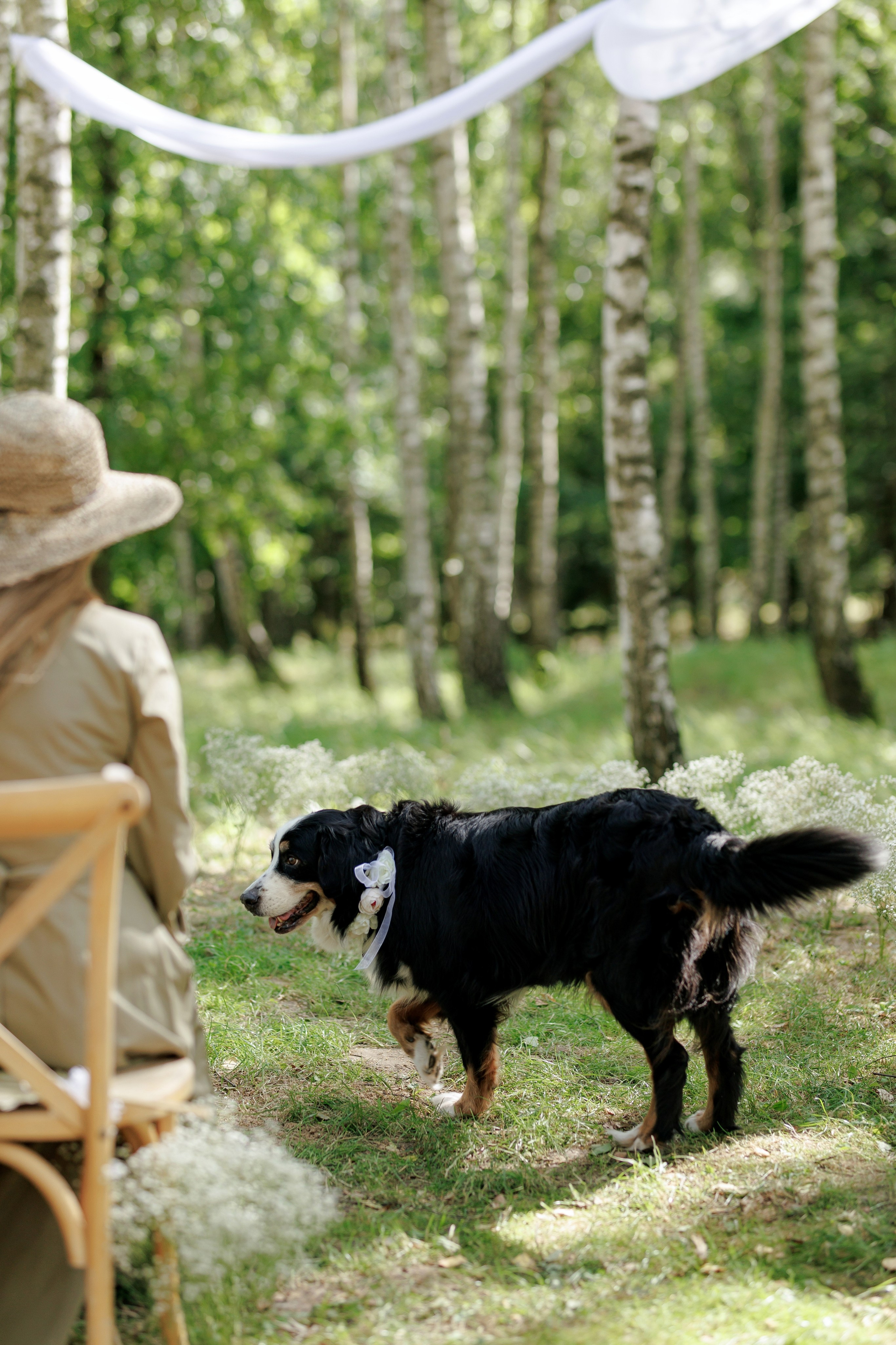 Janina & Wladek. Dworzyszcze Wola. 23.07.2025. Fotograf ślubny i rodzinny w Krakowie Yana Klymova