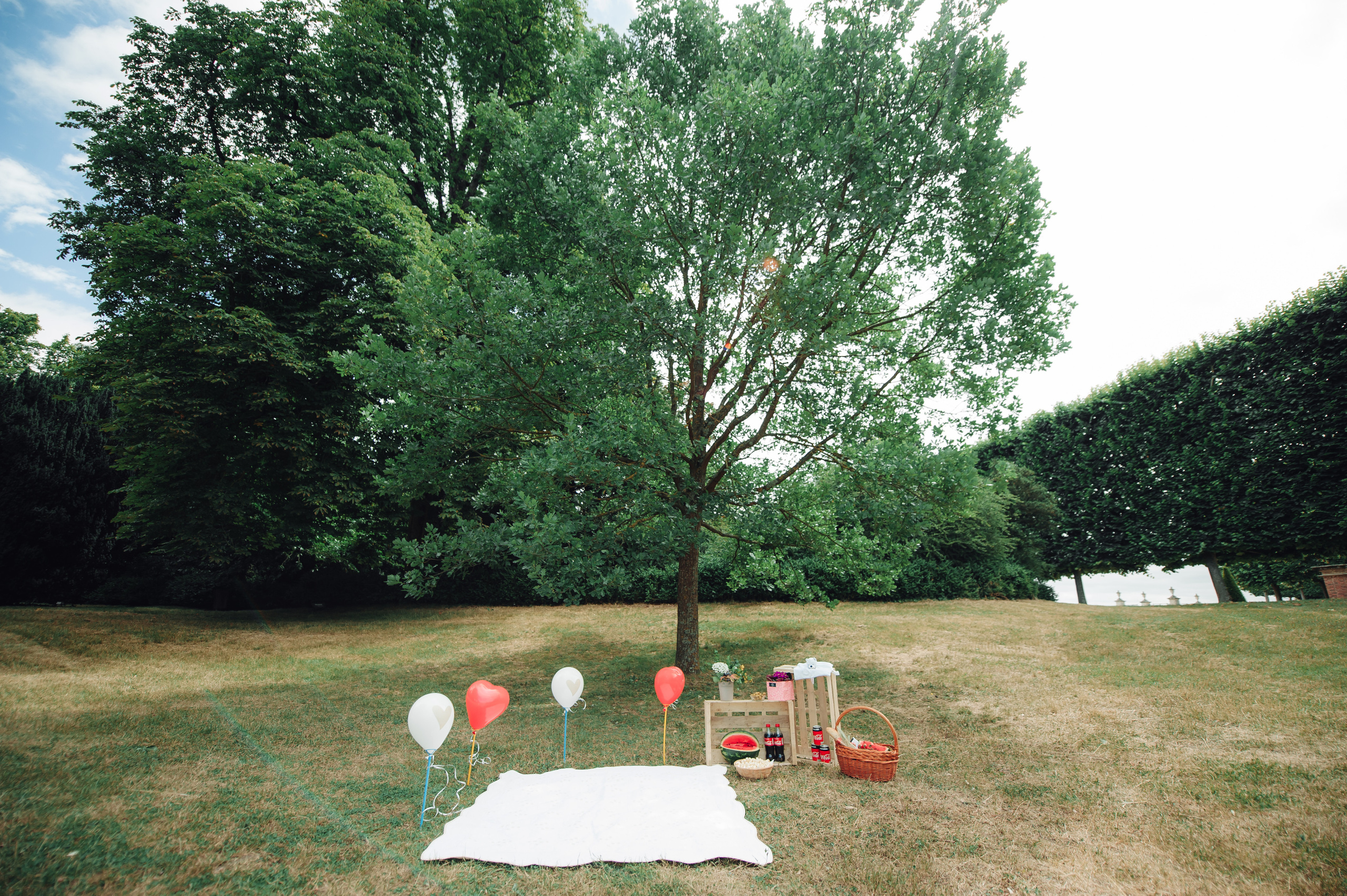 Ion&Adriana | Paris, Saint-Germain-en-Laye. Wedding Photographer Paris|Franta