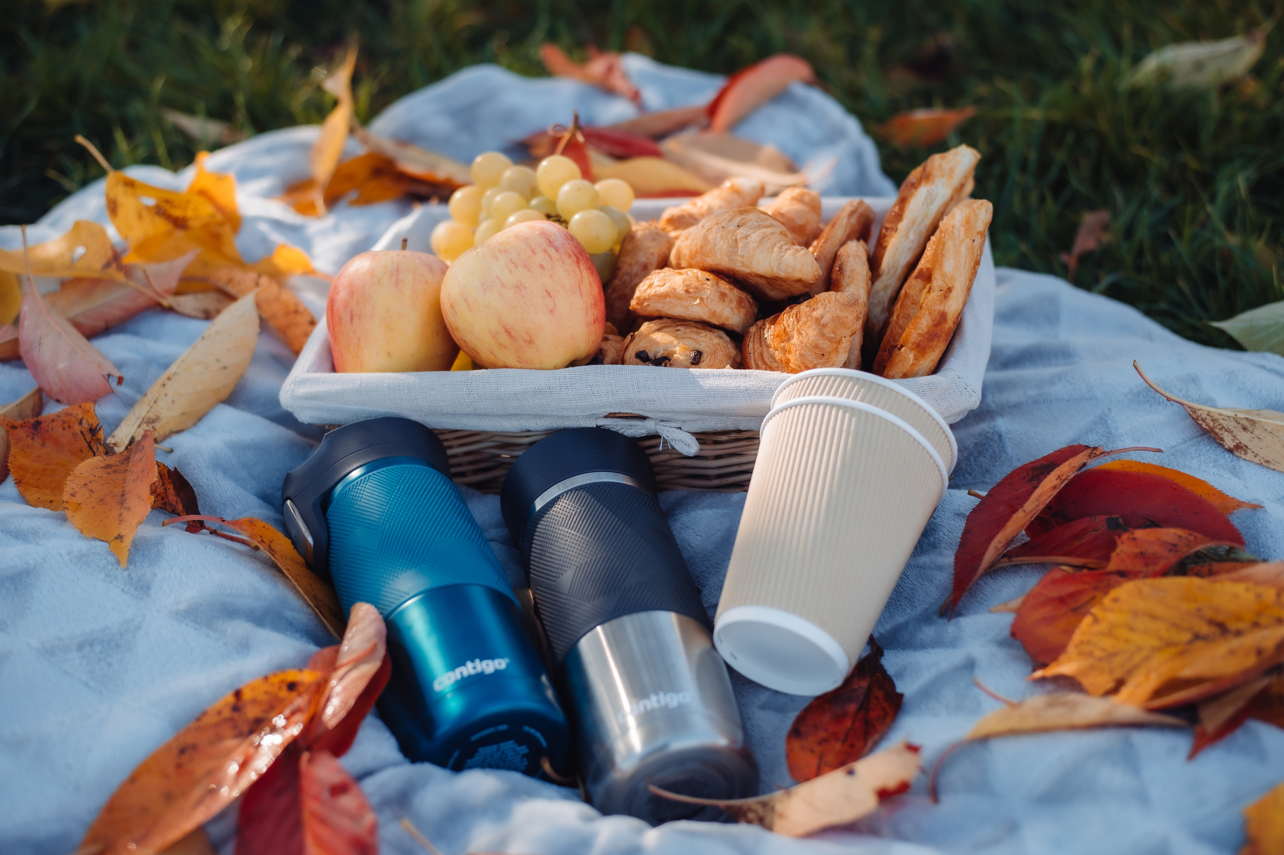 Mihai&Veronica | Paris, Domaine départemental de SCEAUX. Wedding Photographer Paris|Franta