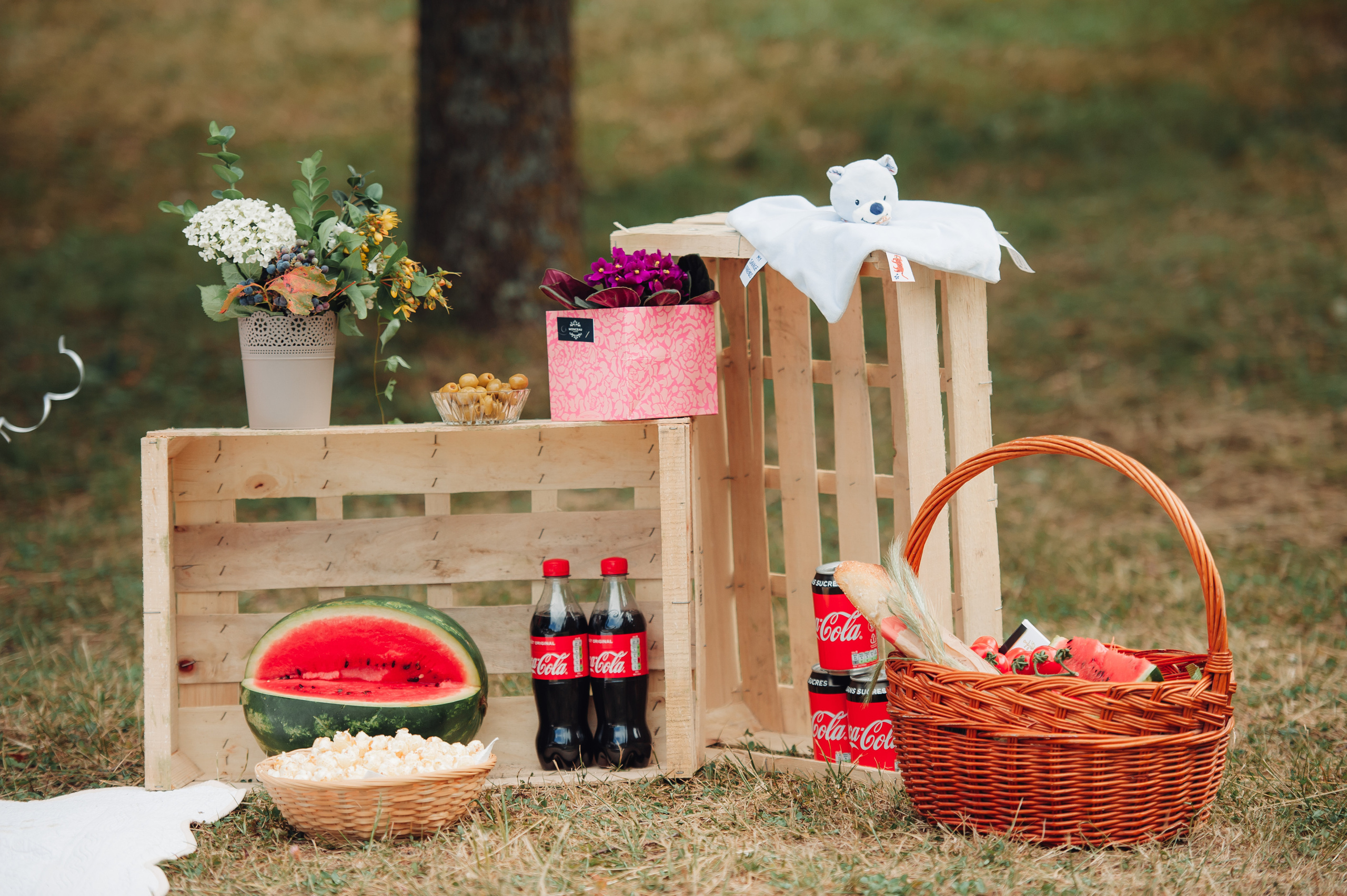 Ion&Adriana | Paris, Saint-Germain-en-Laye. Wedding Photographer Paris|Franta