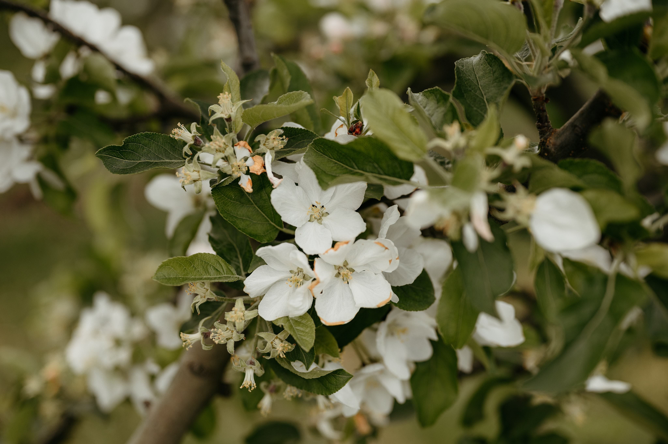 Styled shoot cu Emilian si Silvia. Valentin Melen - fotograf de nunta 🤍