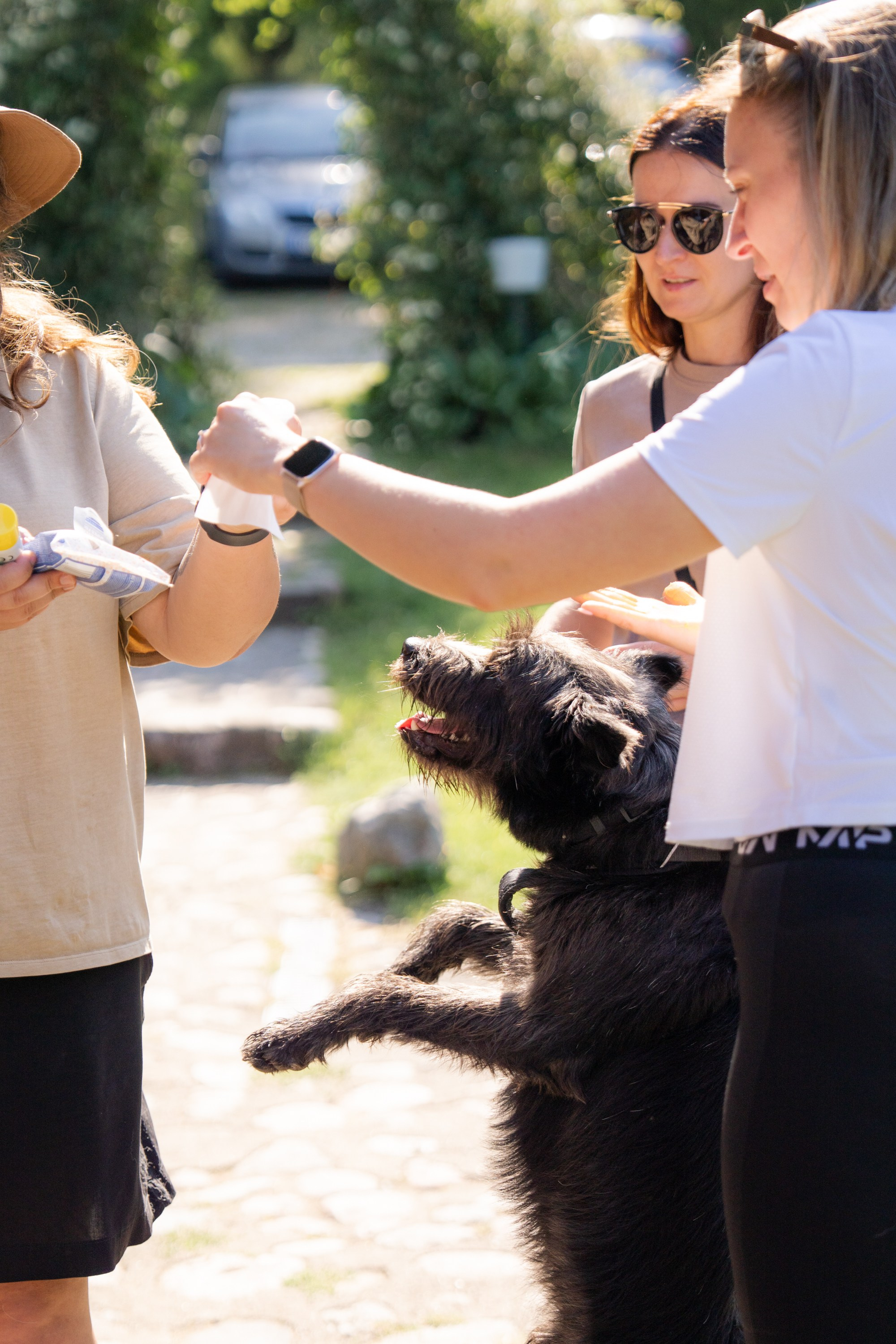 Heppi Dogo fest 2025. Vita Klimaševska ○ Fluffy Soulmate Photography