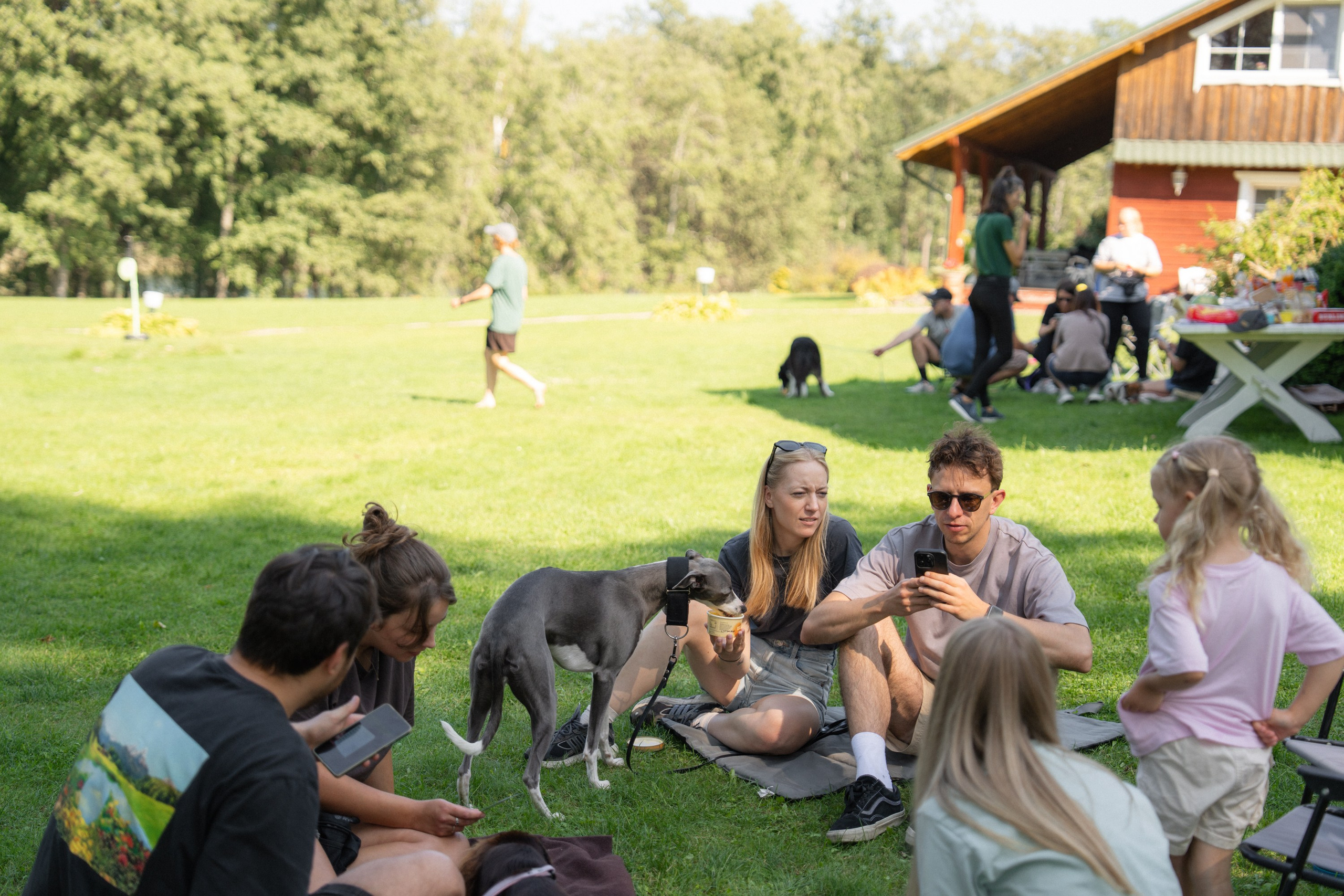 Heppi Dogo fest 2025. Vita Klimaševska ○ Fluffy Soulmate Photography