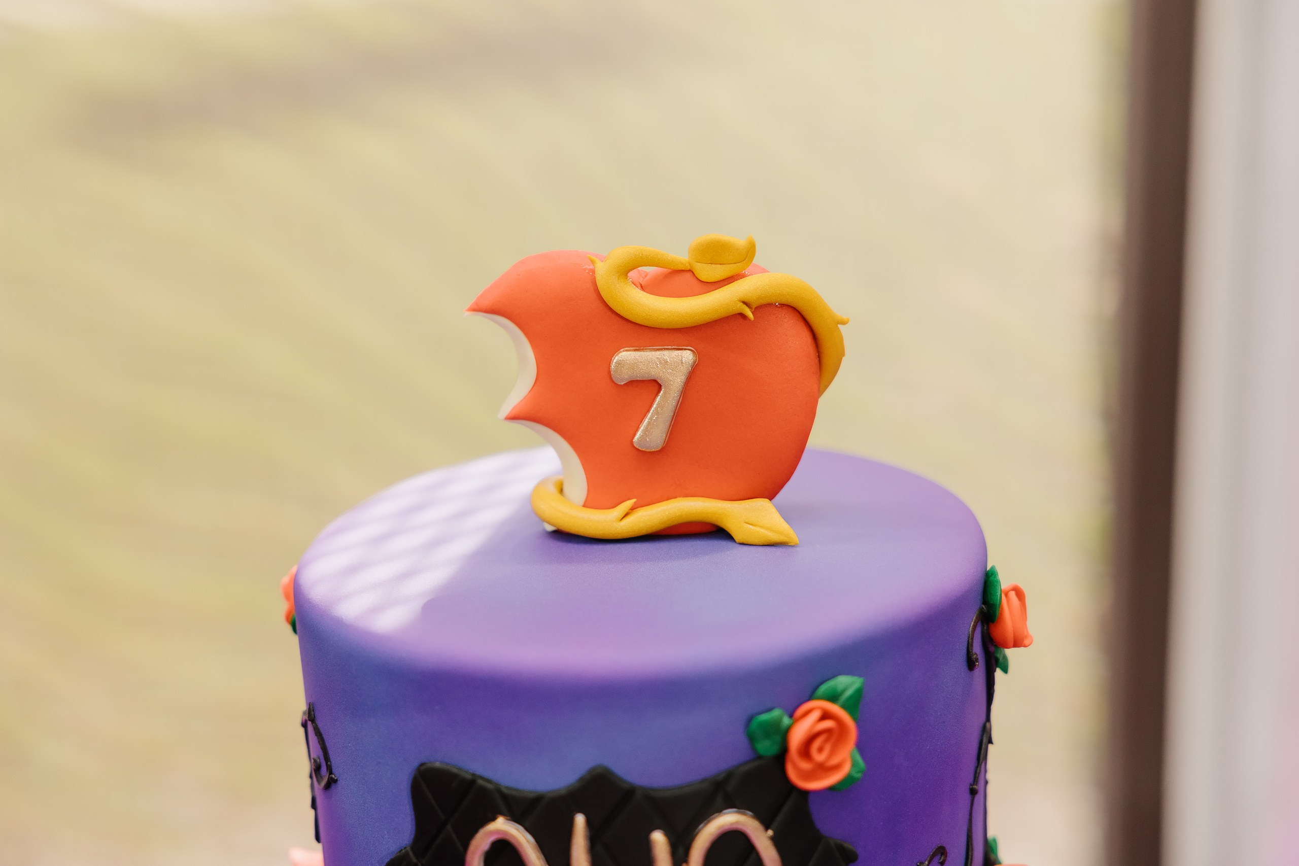 10.26.2024 Birthday Party. Wedding family event photographer in Chicago Nick Yushevich