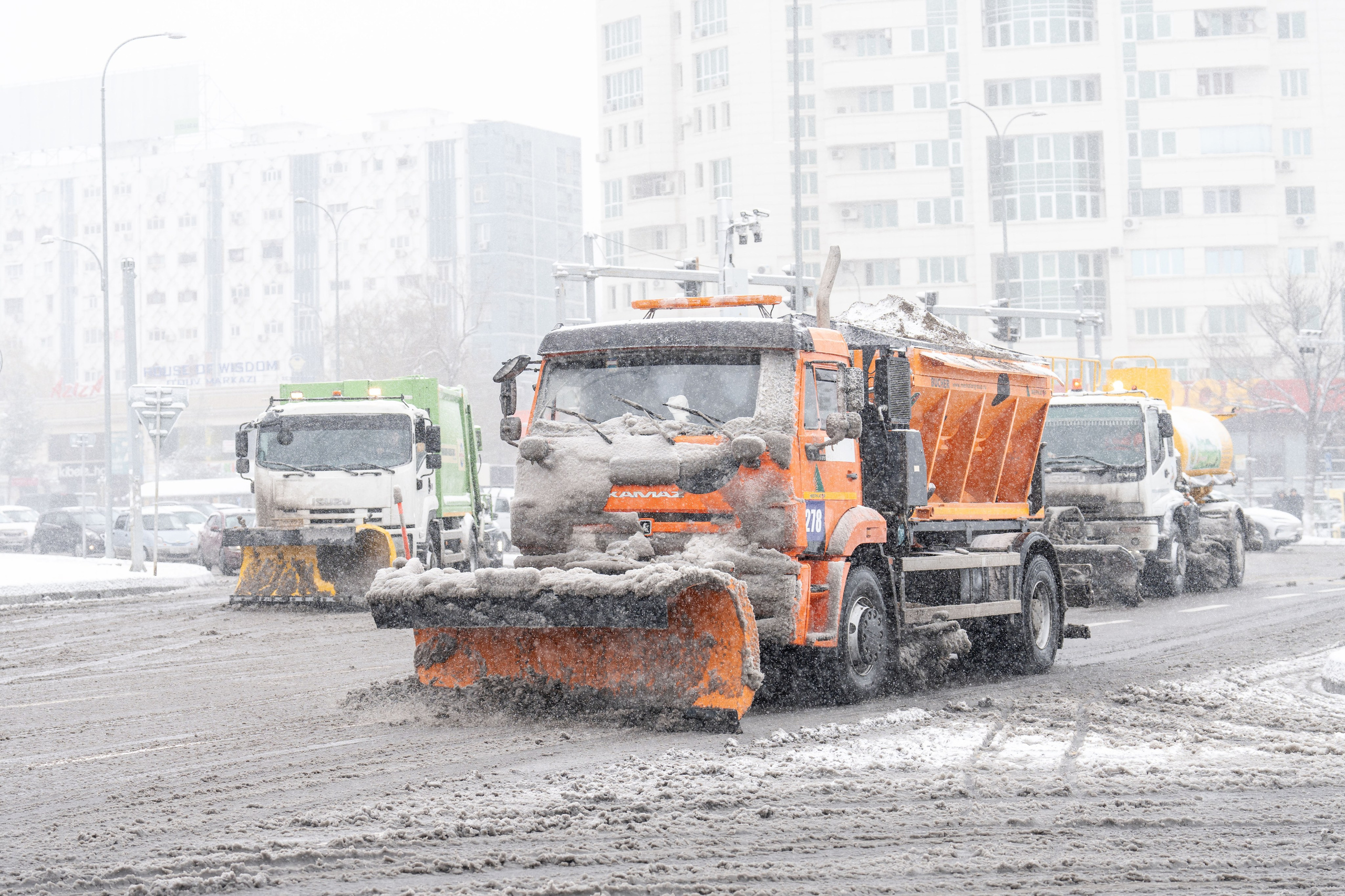 Снег. Георгий Намазов | Фотограф в Ташкенте