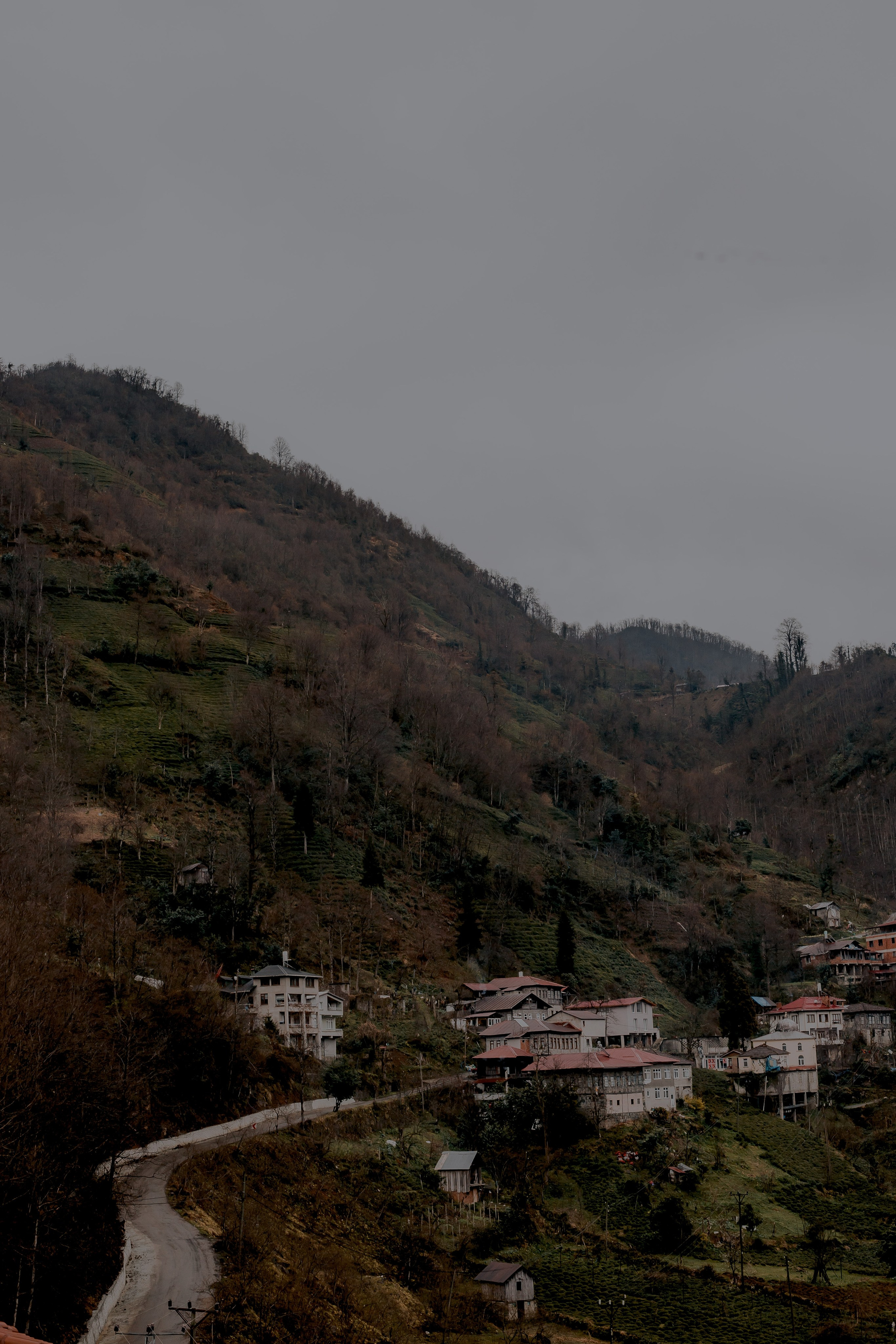 Turkey, Rize. Art Photographer