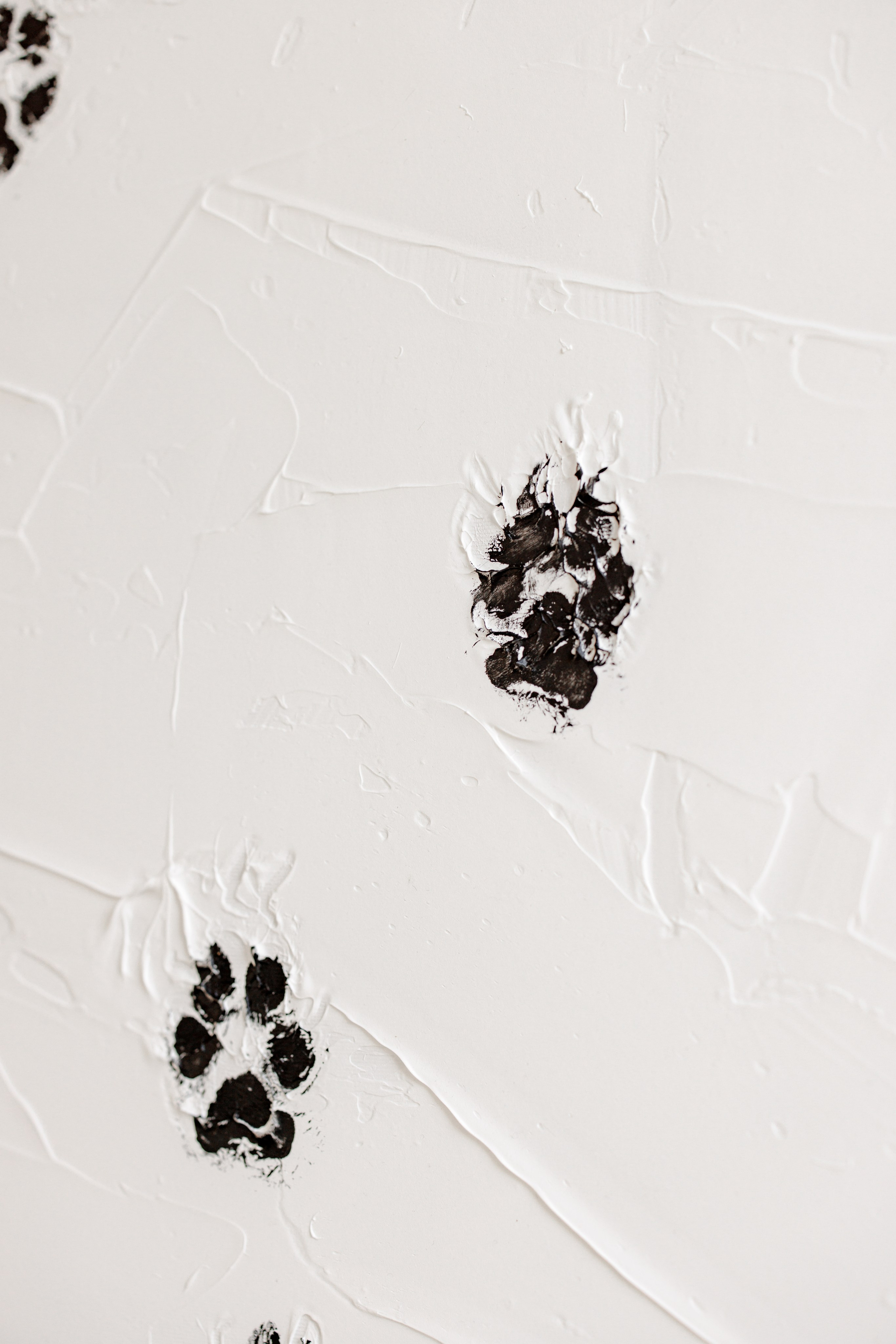 Bark & Bones. Familien- & Hochzeitsfotografin Schweiz. Valeria Diaz in Zürich und Umgebung