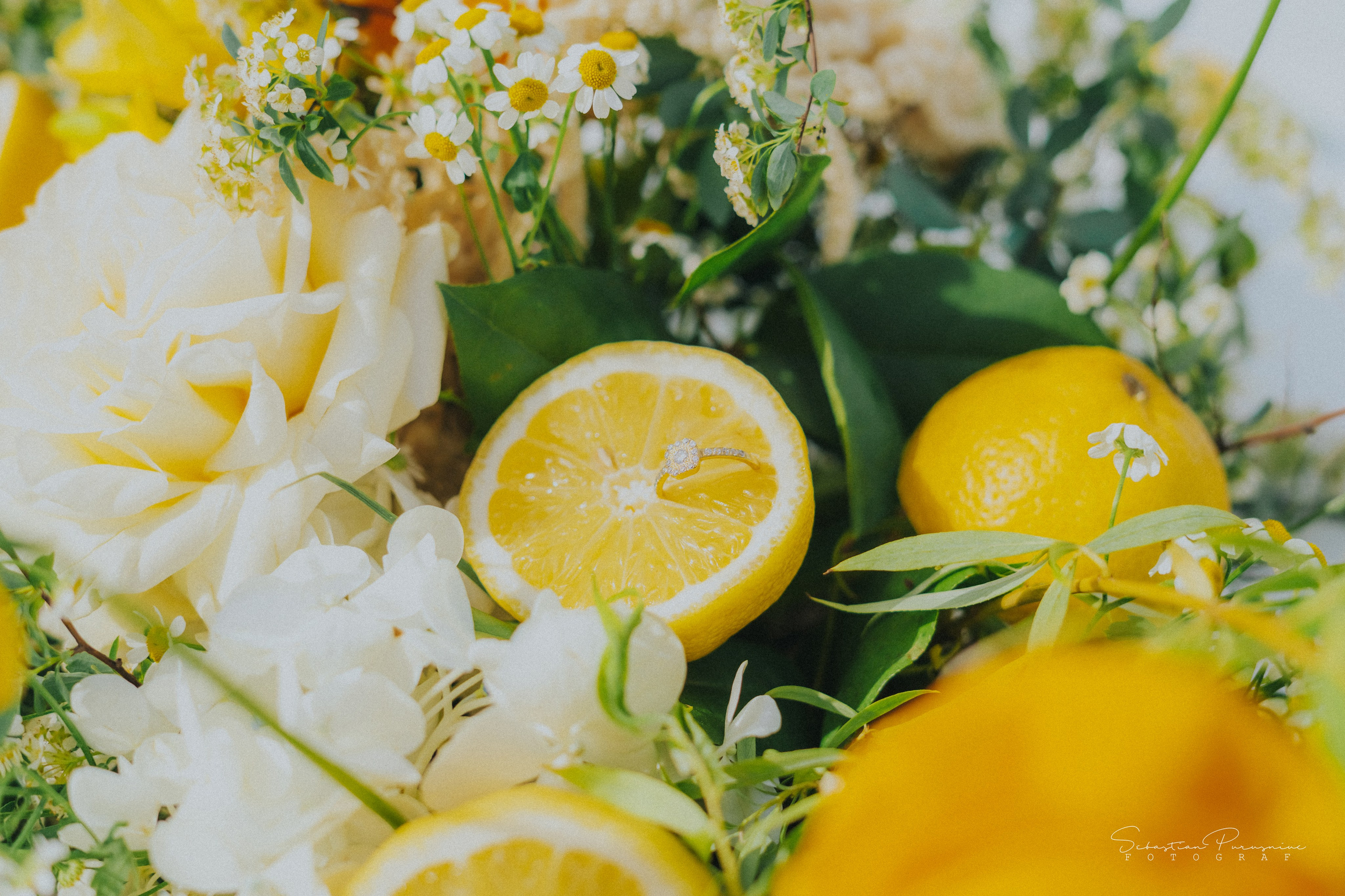 Love & Lemons. Sebastian Purusniuc Fotograf - Iasi