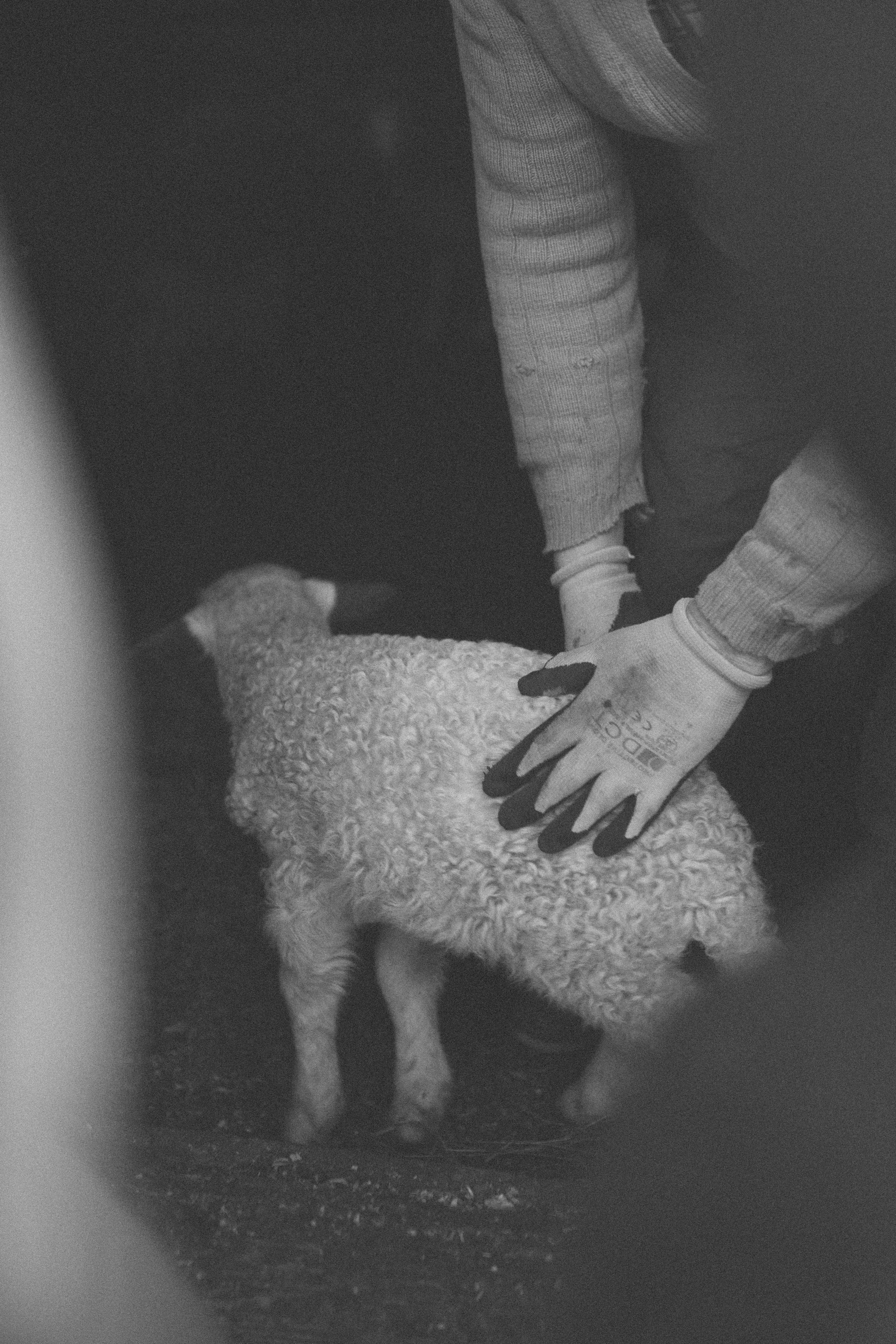 Review Manduca XT: Experiența mea de mamă | Mădălina Beda. Madalina Beda- Artist vizual, fotograf, doula la nastere, consultant babywearing Brasov si in toata tara