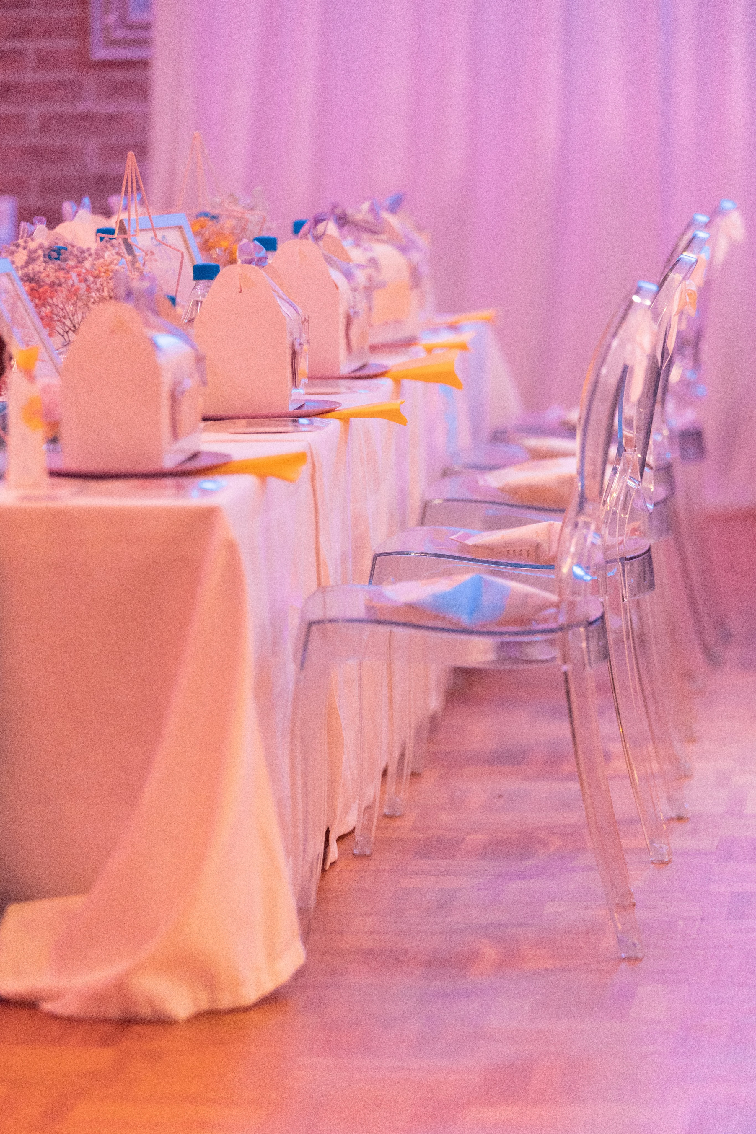 1 st Birthday. Portrait and Family Photographer in Netherlands