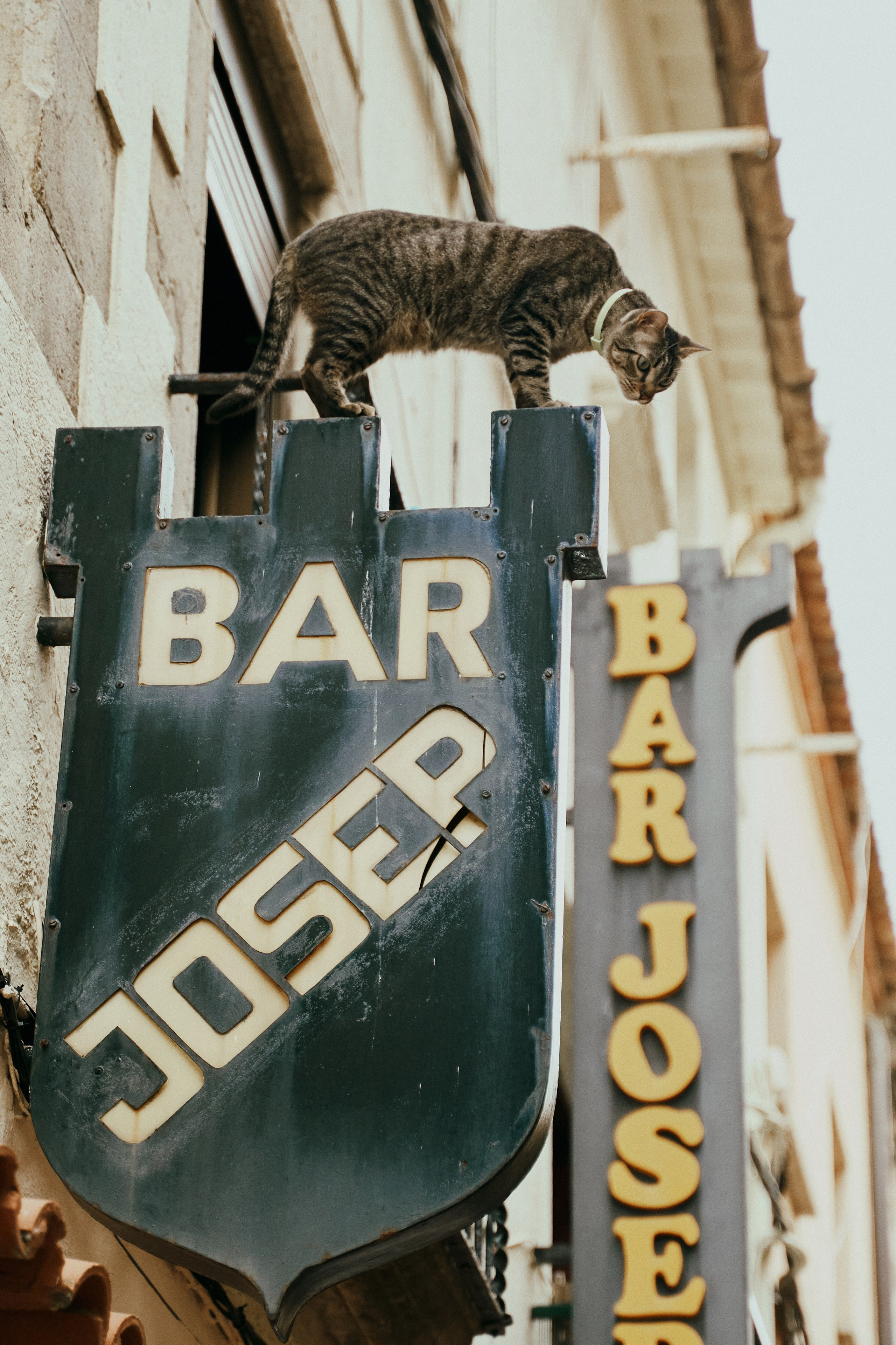 The runaway bride. Photographer in Barcelona Spain Zhanna Zakharchenko