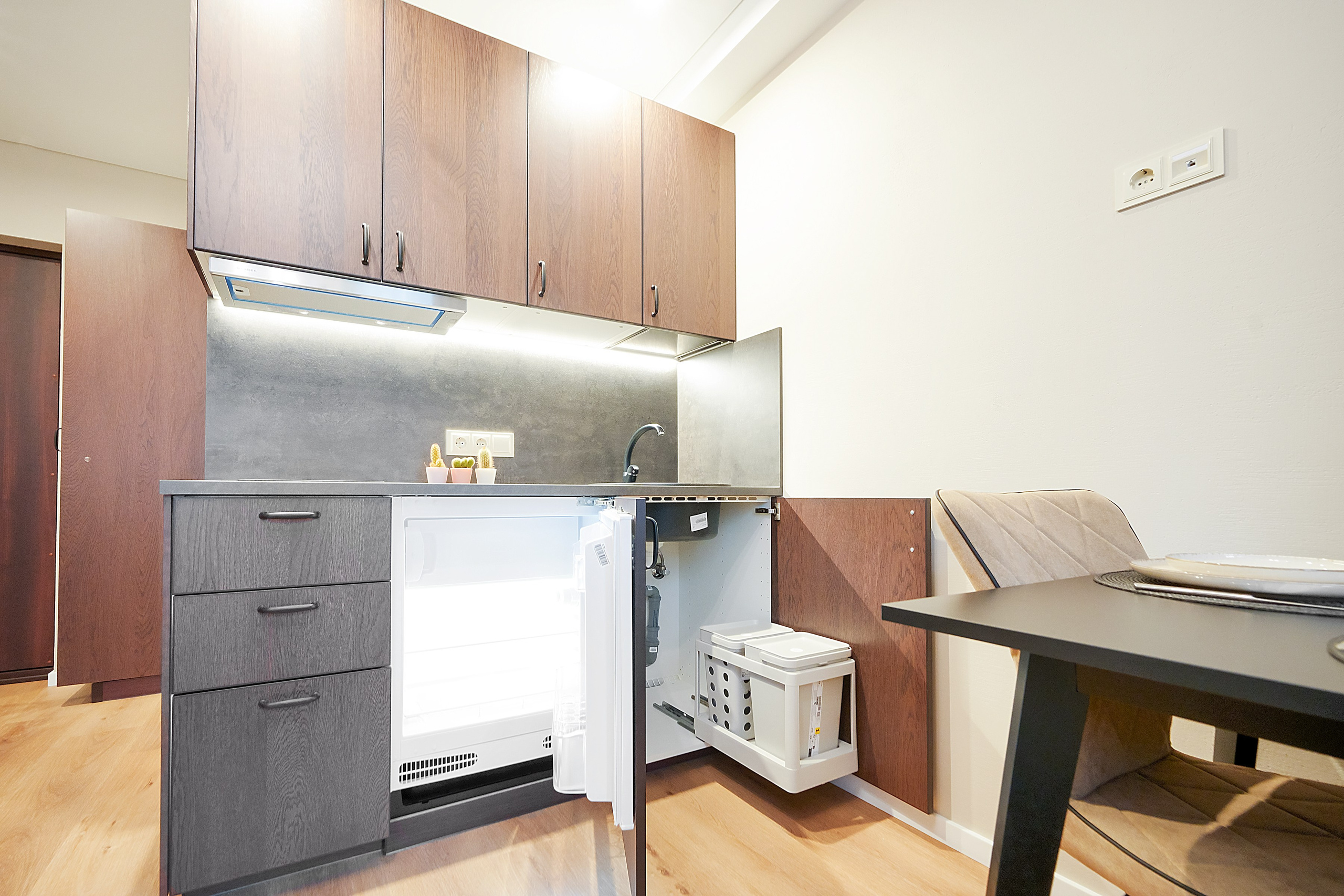 Birželio g. 9. Elina Sapiega fotografė Vilniuje