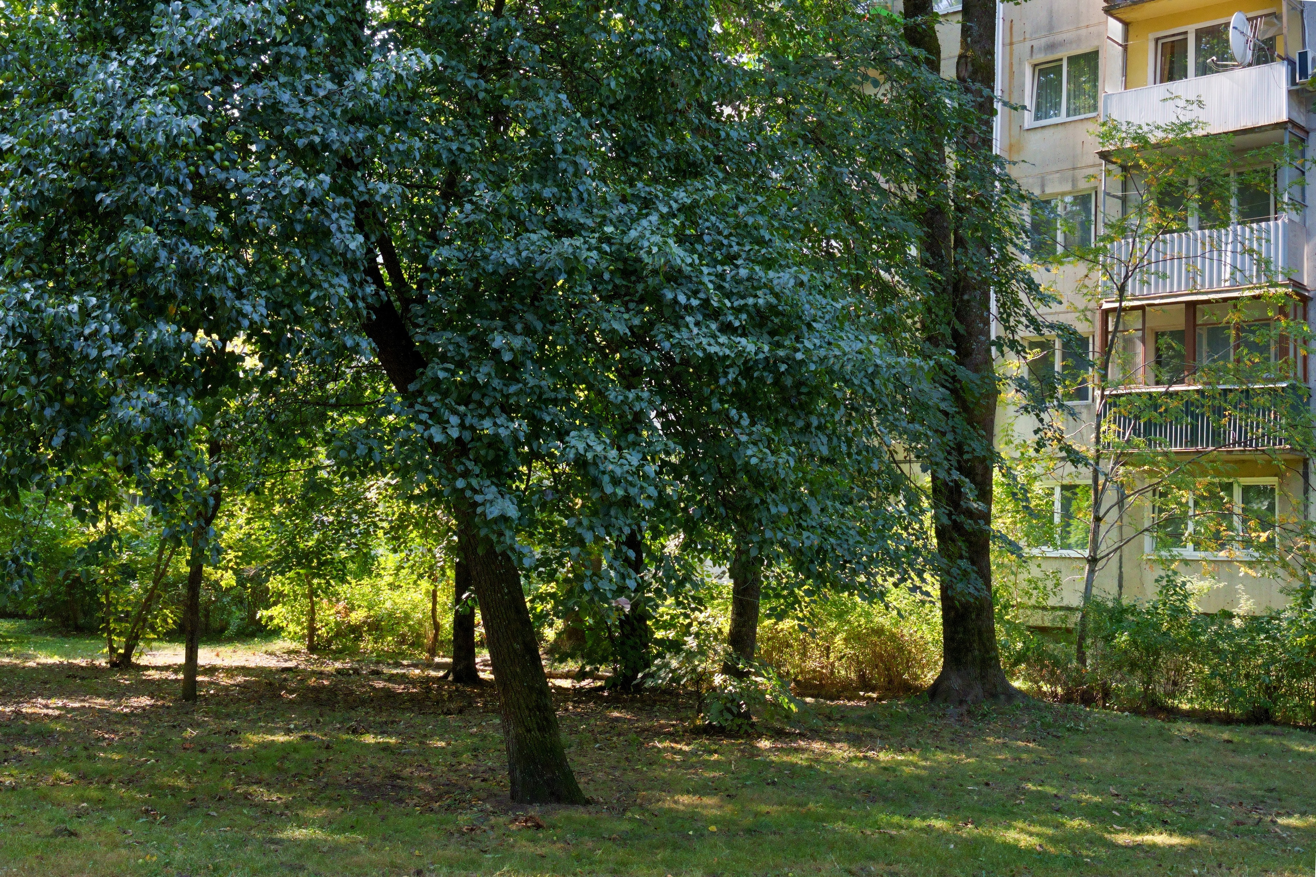 Smolenskio g. 13. Elina Sapiega fotografė Vilniuje