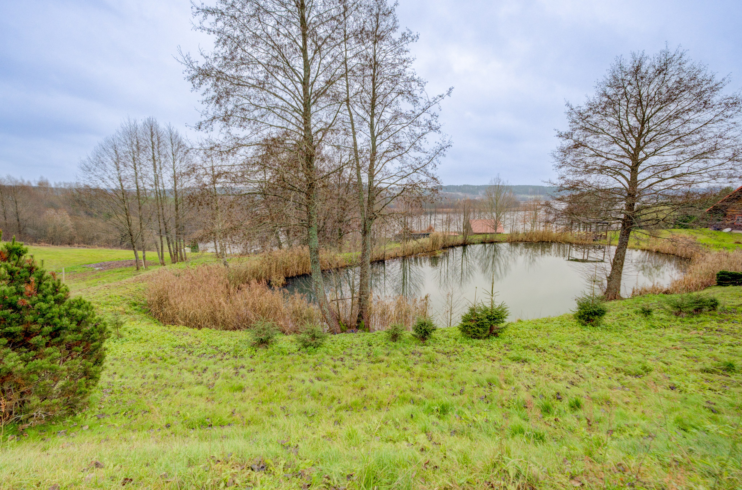 Trakų raj. sodyba. Elina Sapiega fotografė Vilniuje