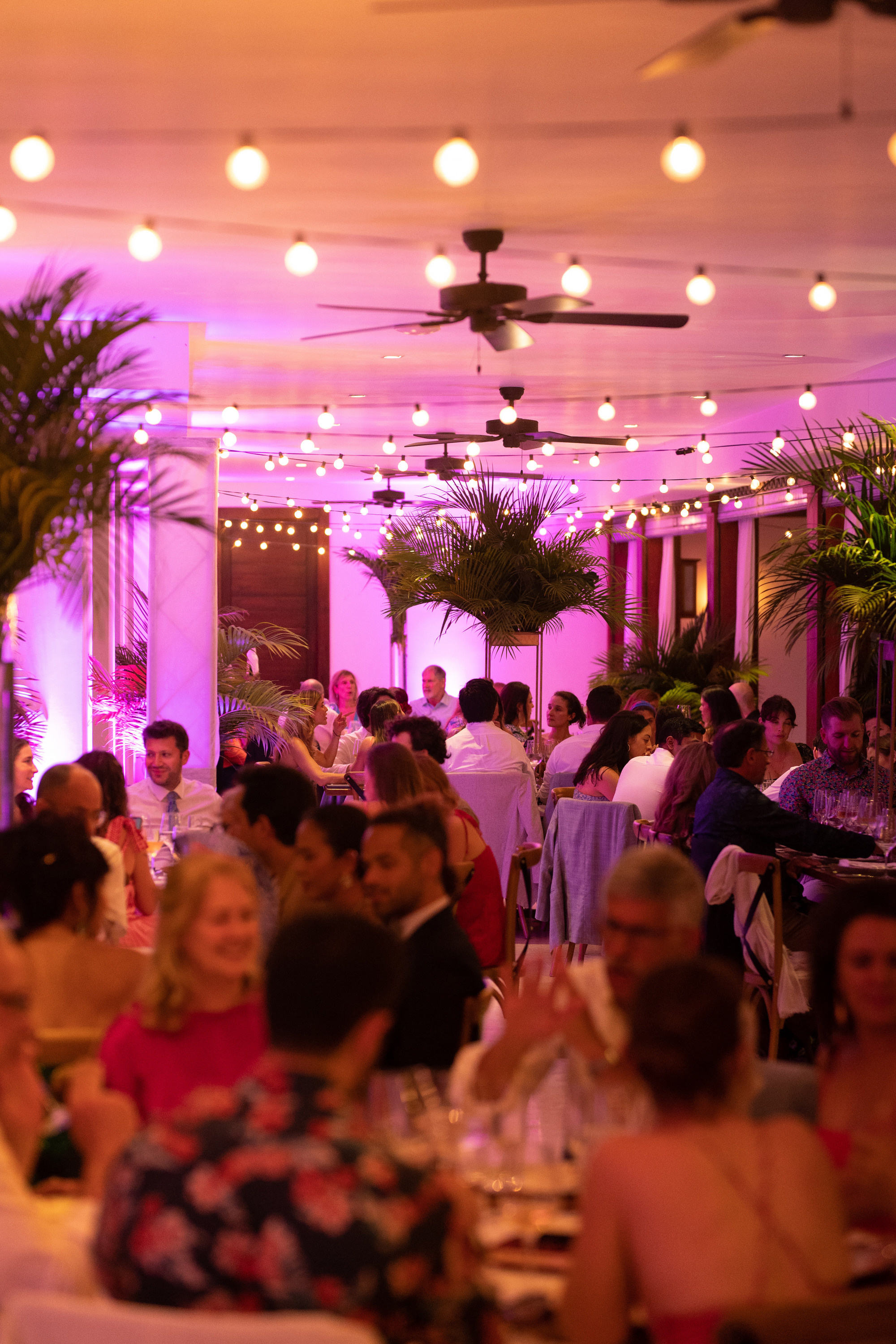 Yasmine and Johannes, Las Terrenas wedding