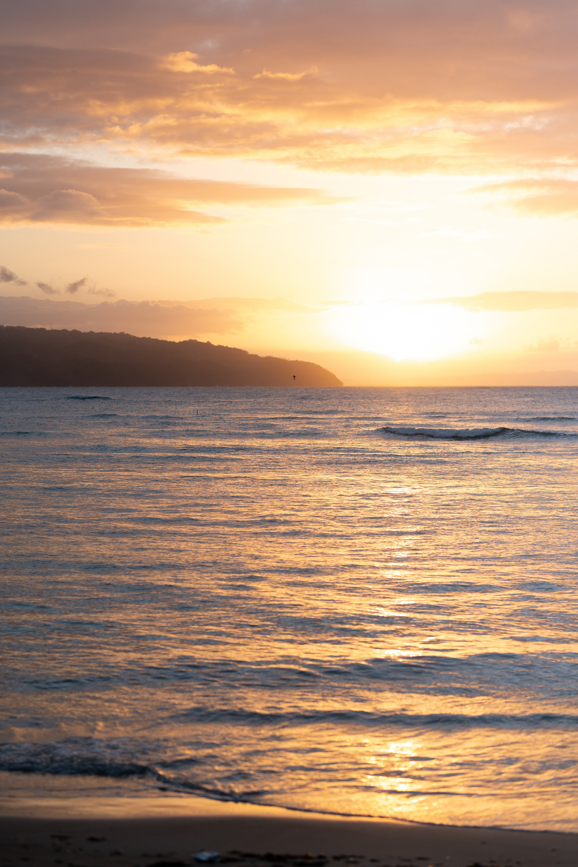 Yasmine and Johannes, Las Terrenas wedding