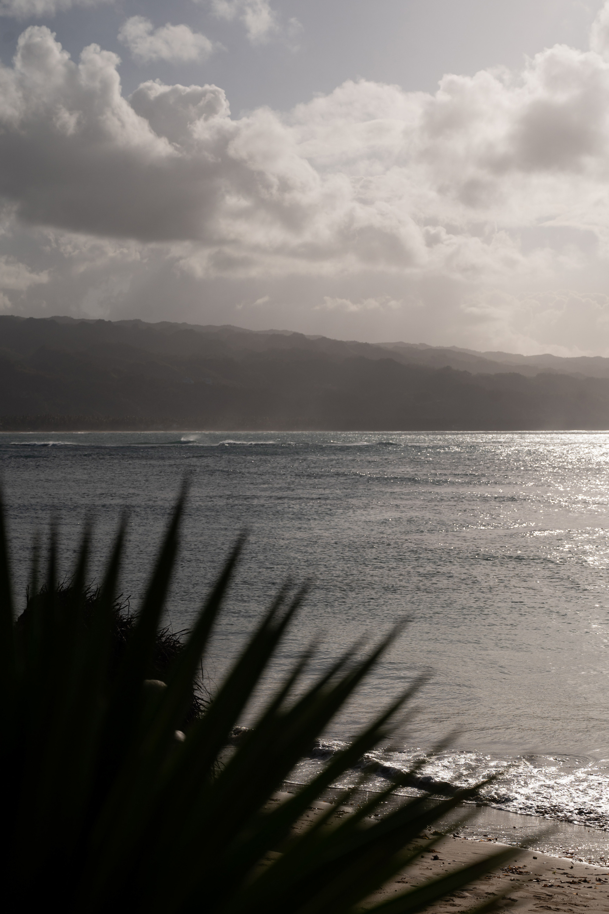 Yasmine and Johannes, Las Terrenas wedding