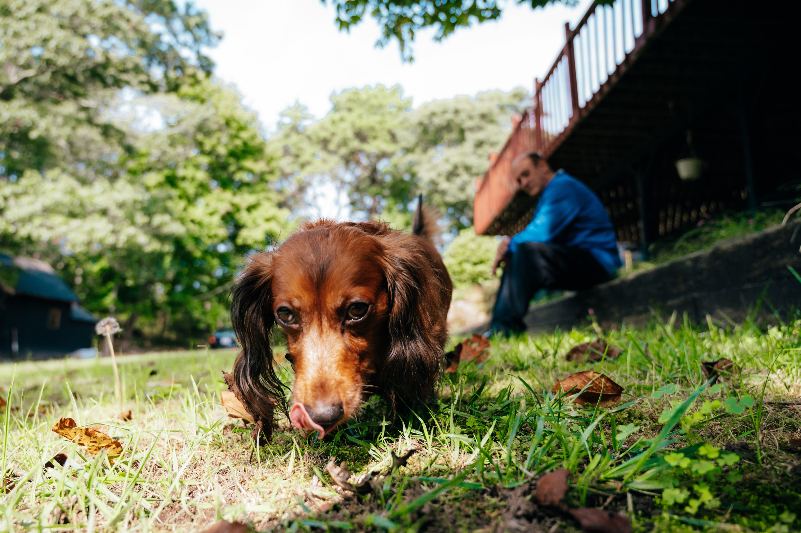 Celio Dominatto. Cape Cod, Massachusetts