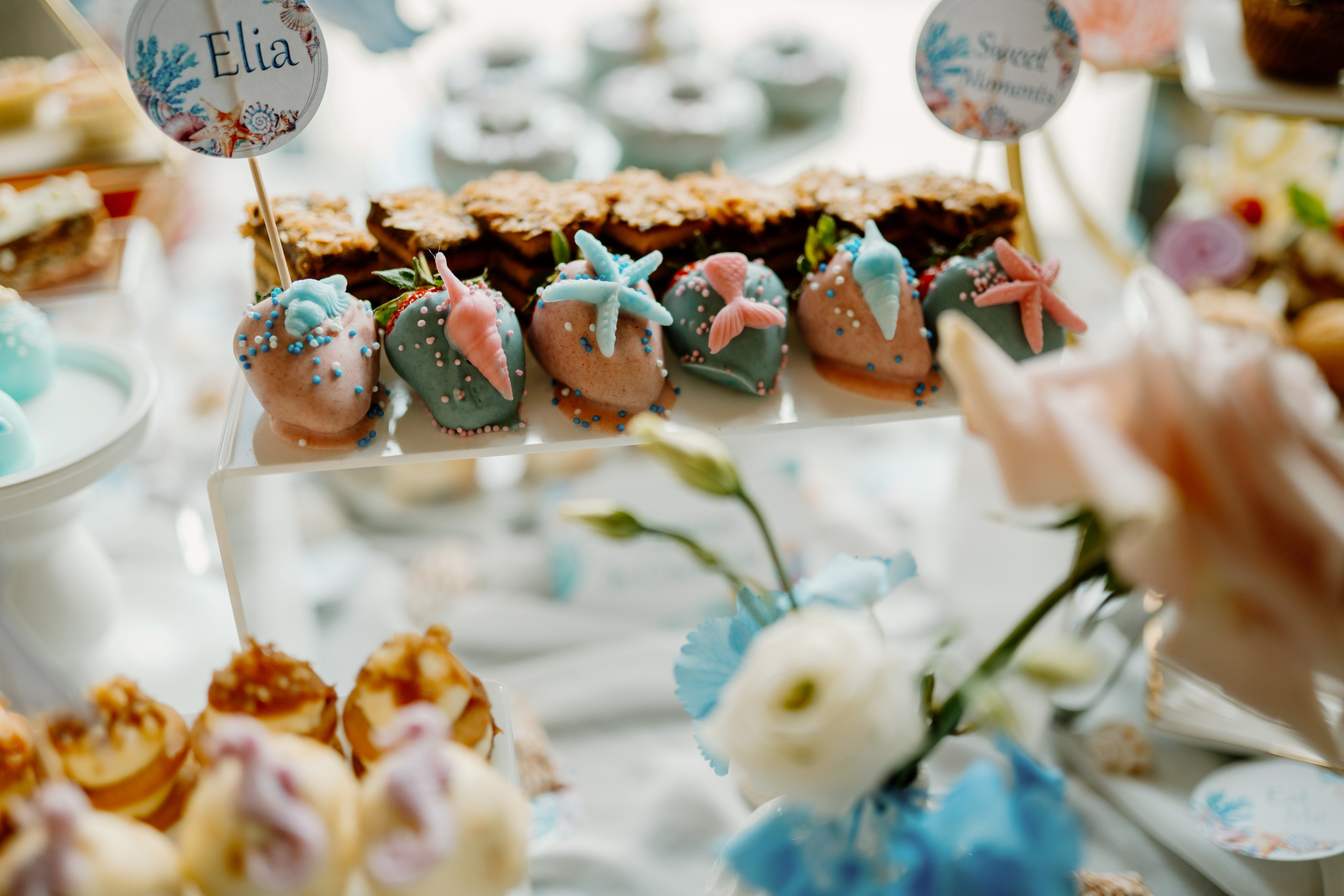 Baby Elia. Gabrielacojocariu.com