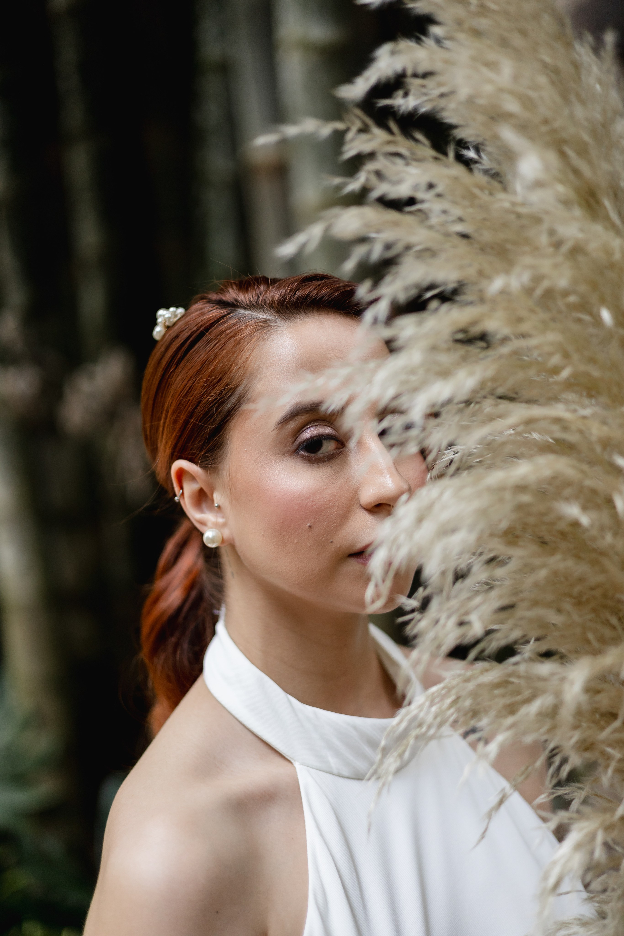 Editorial Dom Brunello