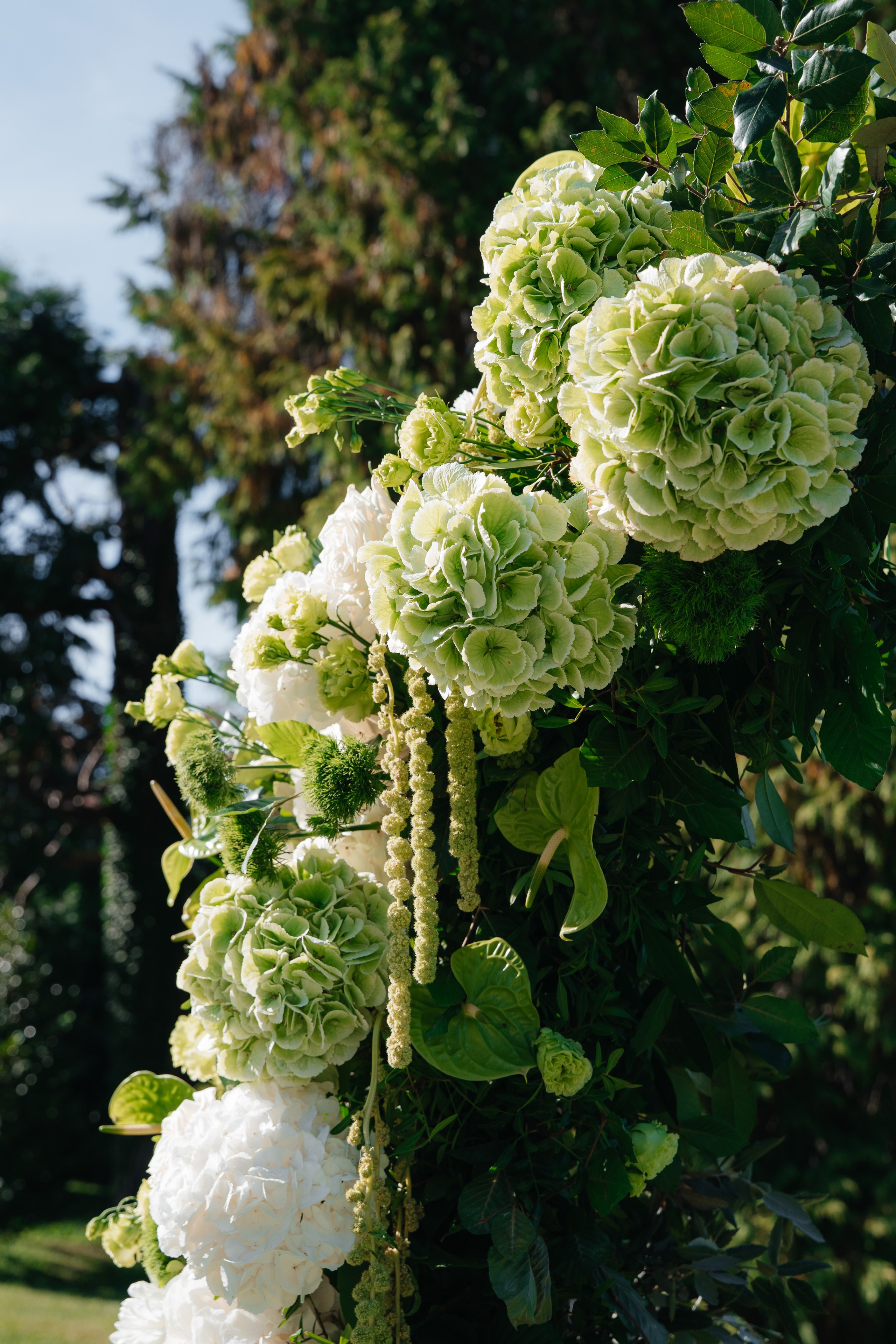 Jona & Tamara. Wedding photographer Natalia