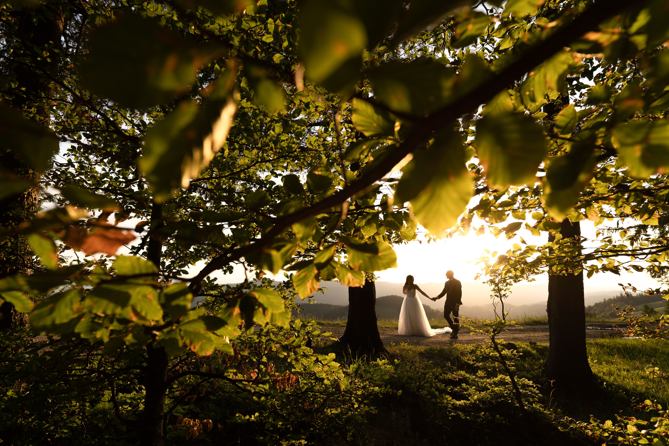 Best OFF2023. Soldan Studio