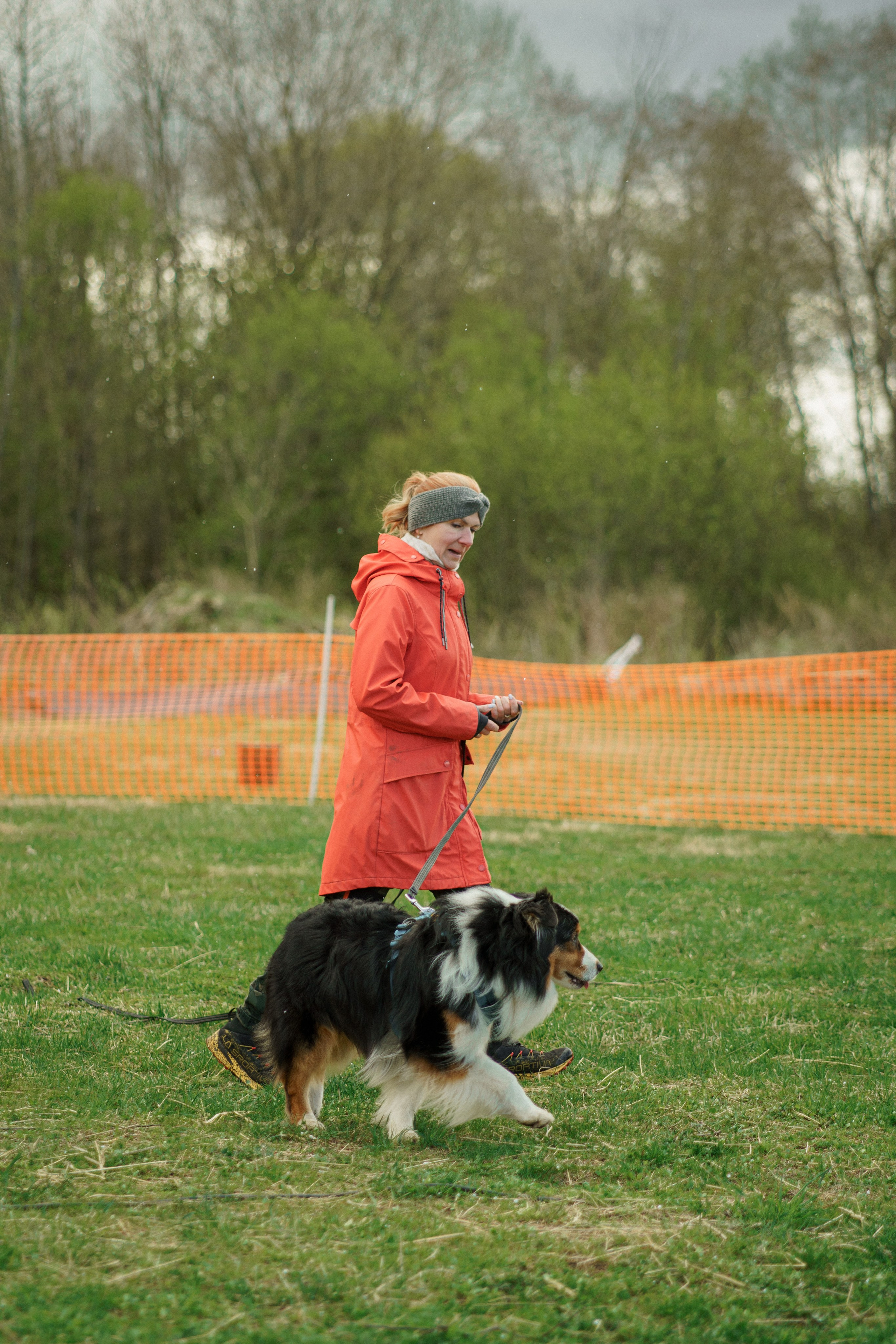 Herding Days, 26 apr. 2025. Kat Laisaar — Pet photographer in Tallinn