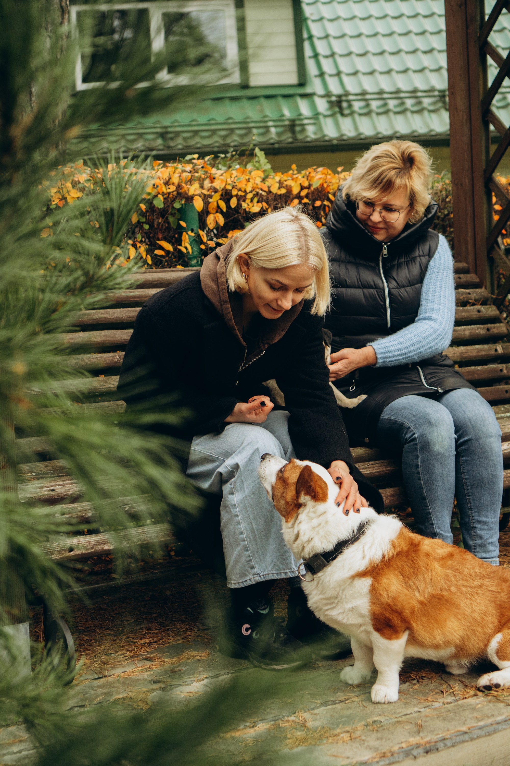 Jelena and her Sandy, Pug and Katja and her Safiir, Cardigan Welsh Corgi. Kat Laisaar — Pet photographer in Tallinn