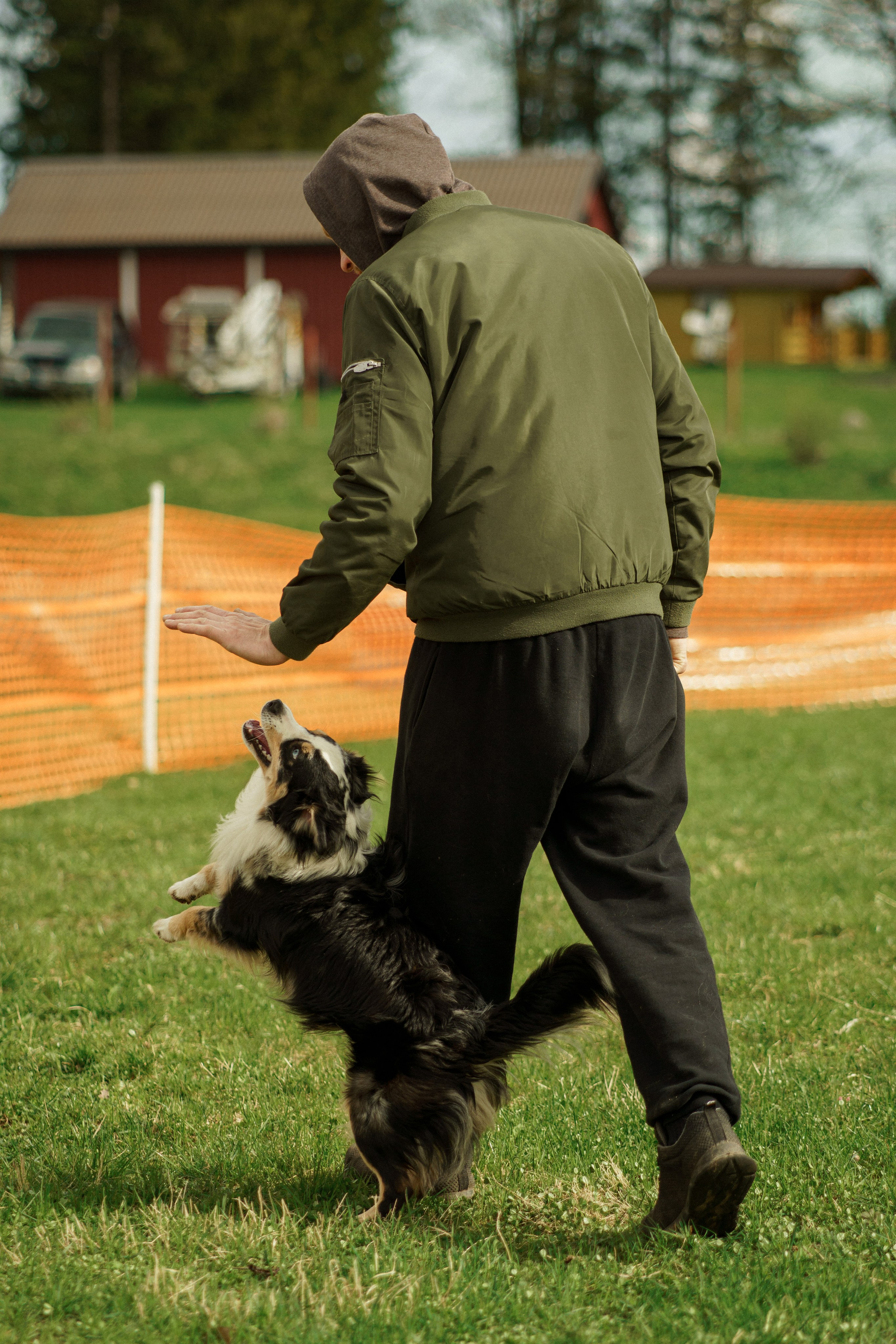Herding Days, 26 apr. 2025. Kat Laisaar — Pet photographer in Tallinn