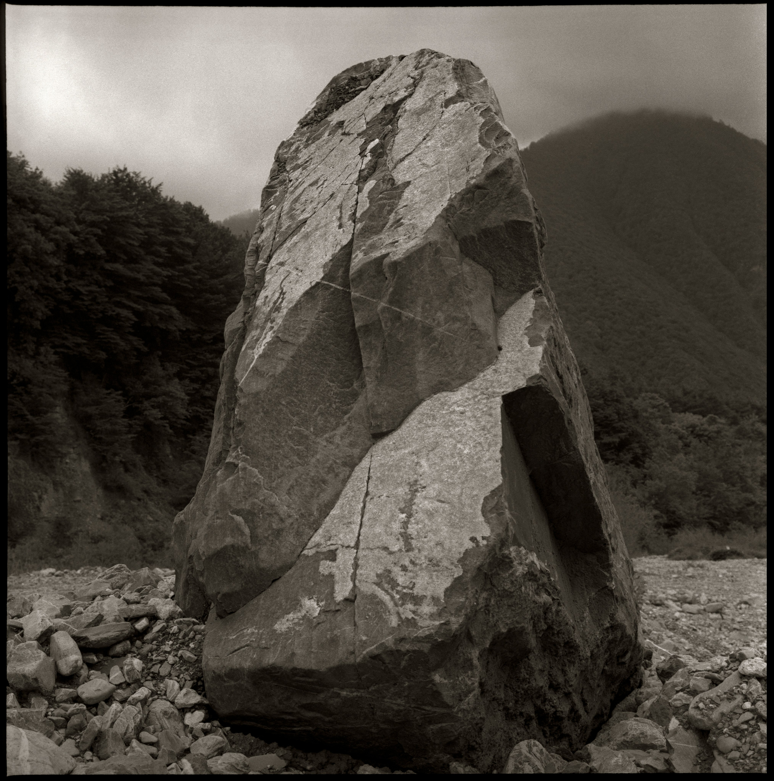 NATURE. Www.sananaleskerov.com