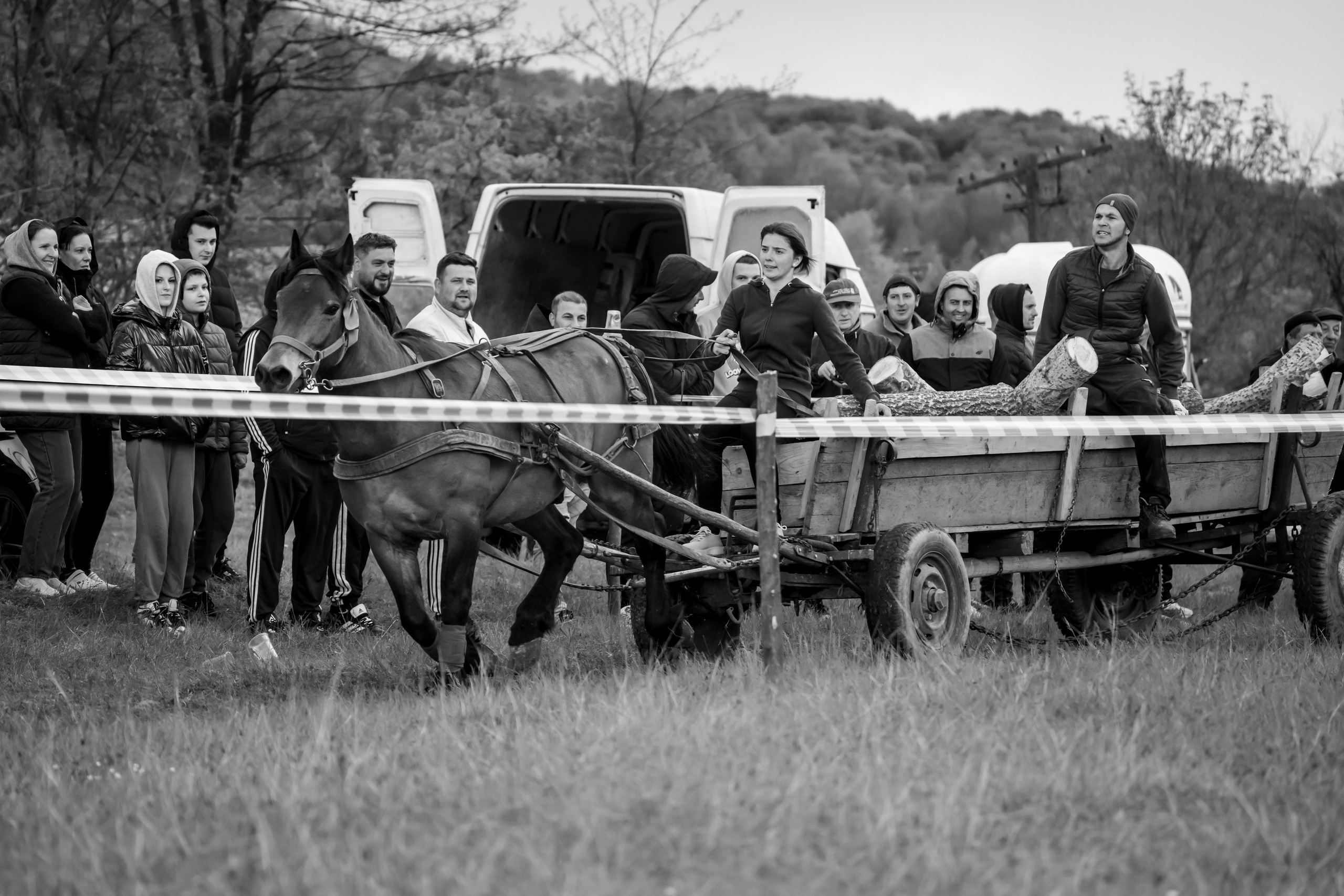 Concurs Ecvestru Vărbilău ediția a 4-a. Mihai Alexandra Events