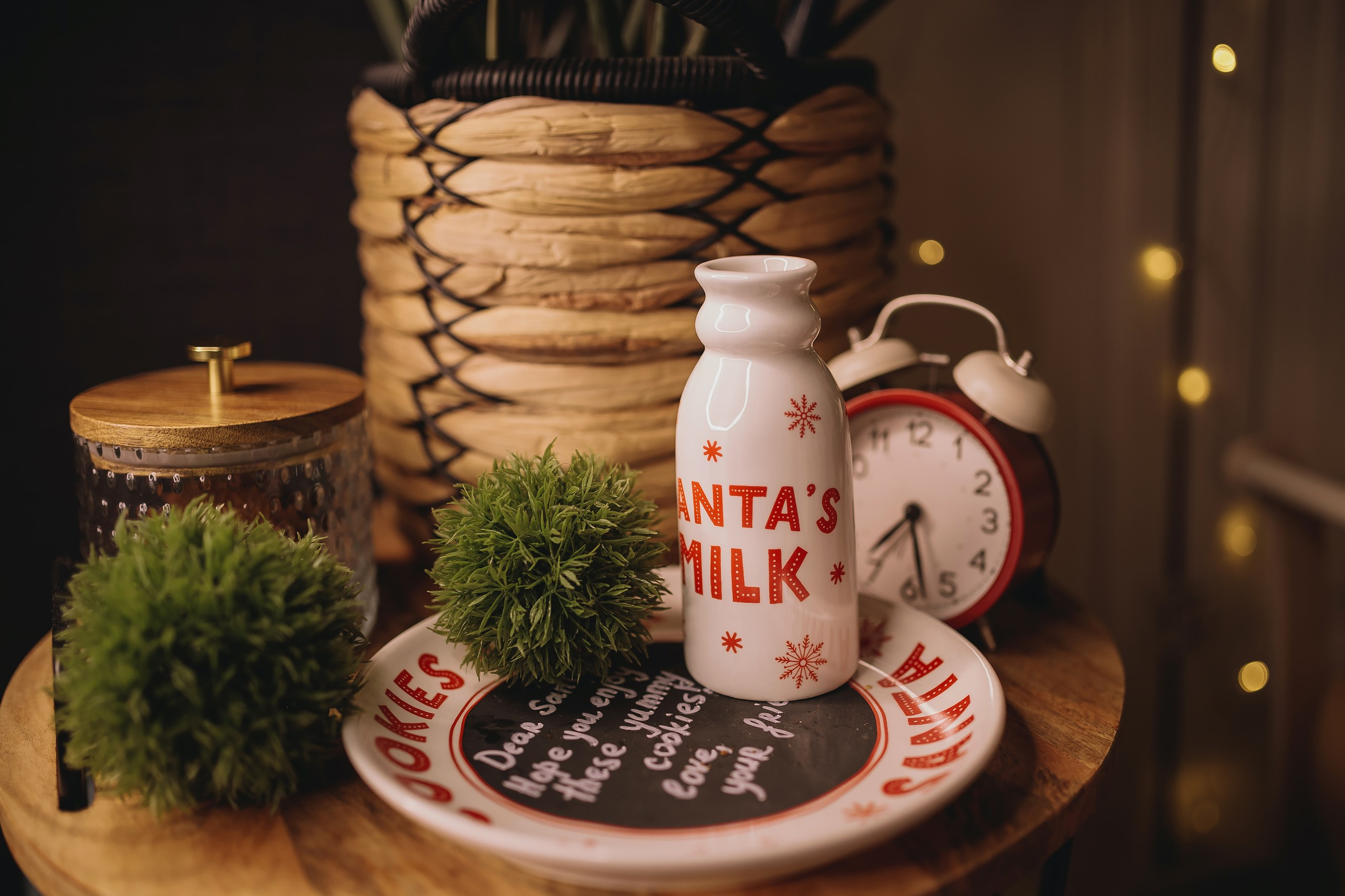 12.08.2025 Christmas Photoshoot. Wedding family event photographer in Chicago Nick Yushevich