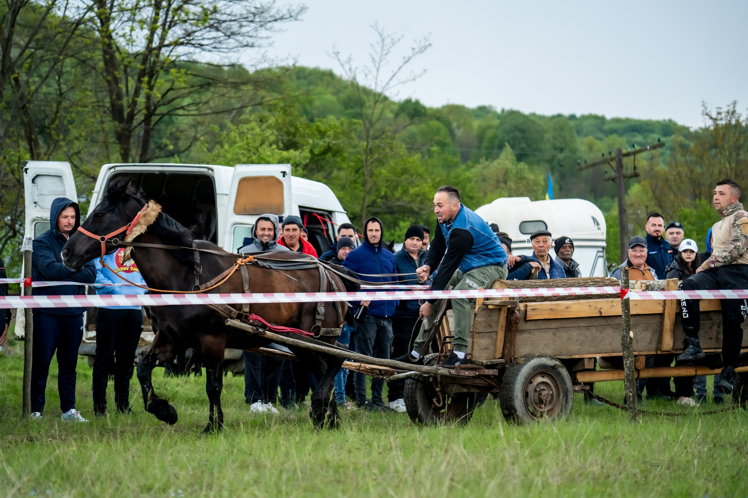 Concurs Ecvestru Vărbilău ediția a 4-a. Mihai Alexandra Events