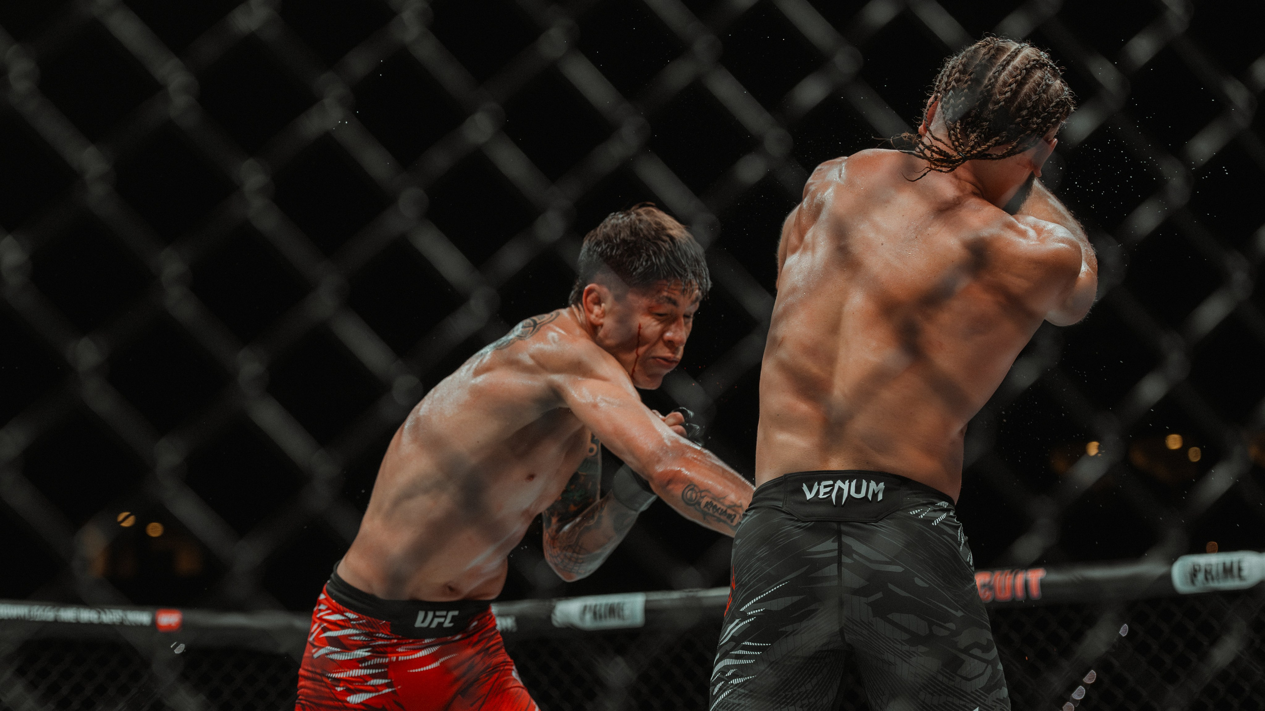 UFC. Commercial and Event photographer Eltaj