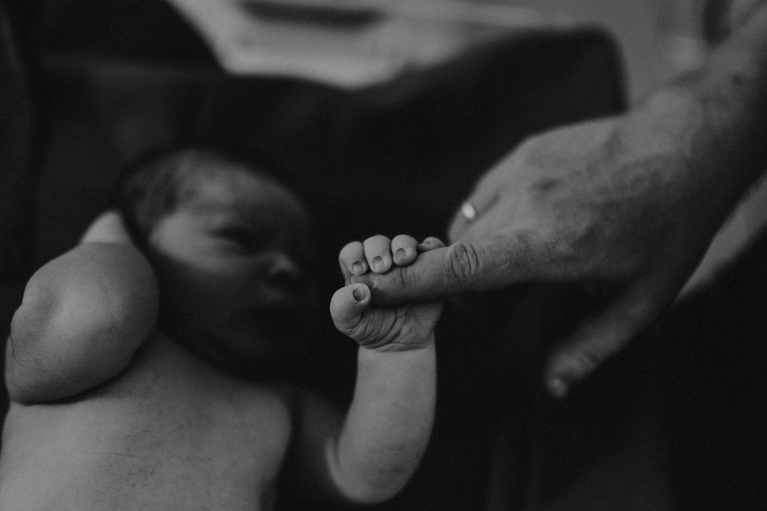 O nascimento de Daniel. Fotografa documental de familia e nascimento em Florianópolis SC Daria Ermolaev