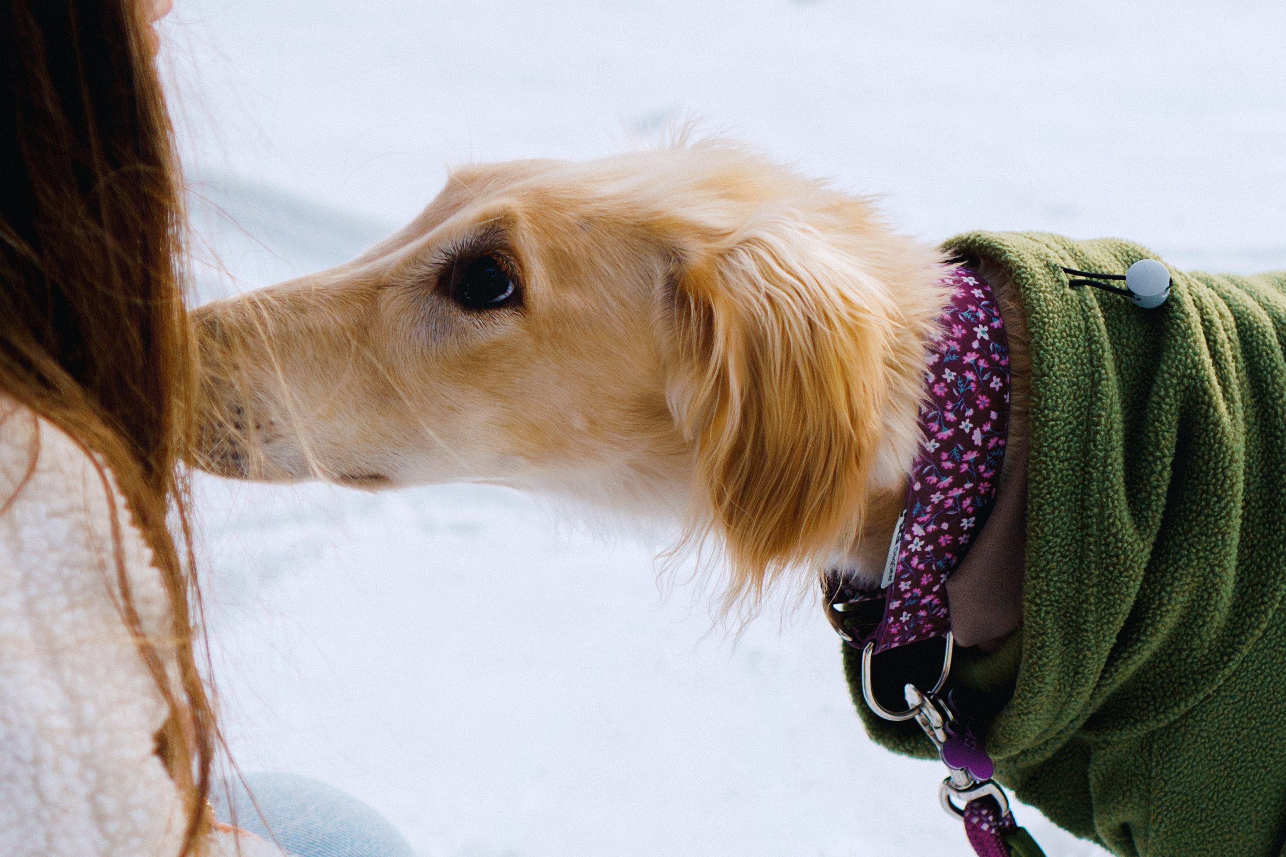 Nicole & Sky. Kat Laisaar — Pet photographer in Tallinn
