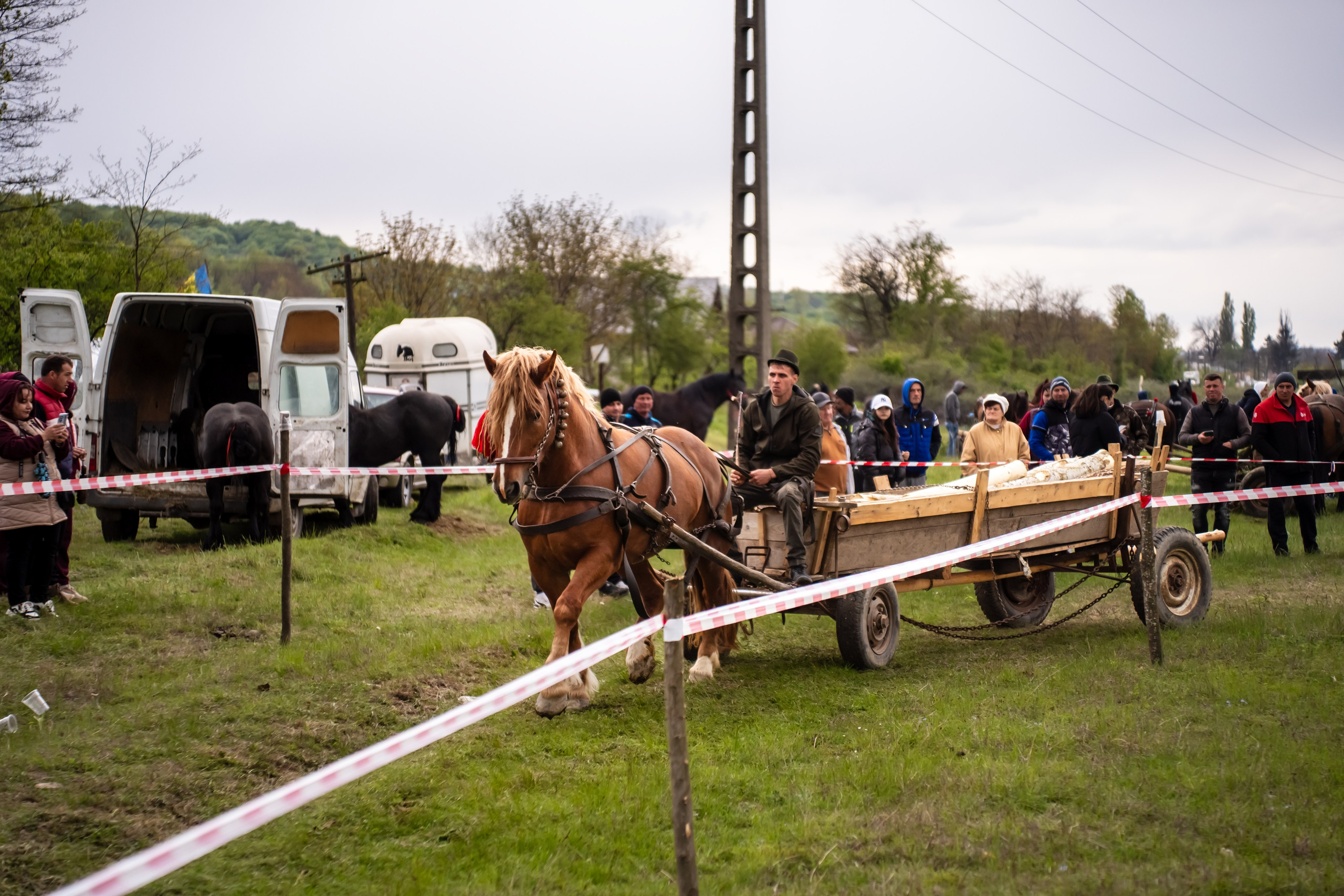 Concurs Ecvestru Vărbilău ediția a 4-a. Mihai Alexandra Events