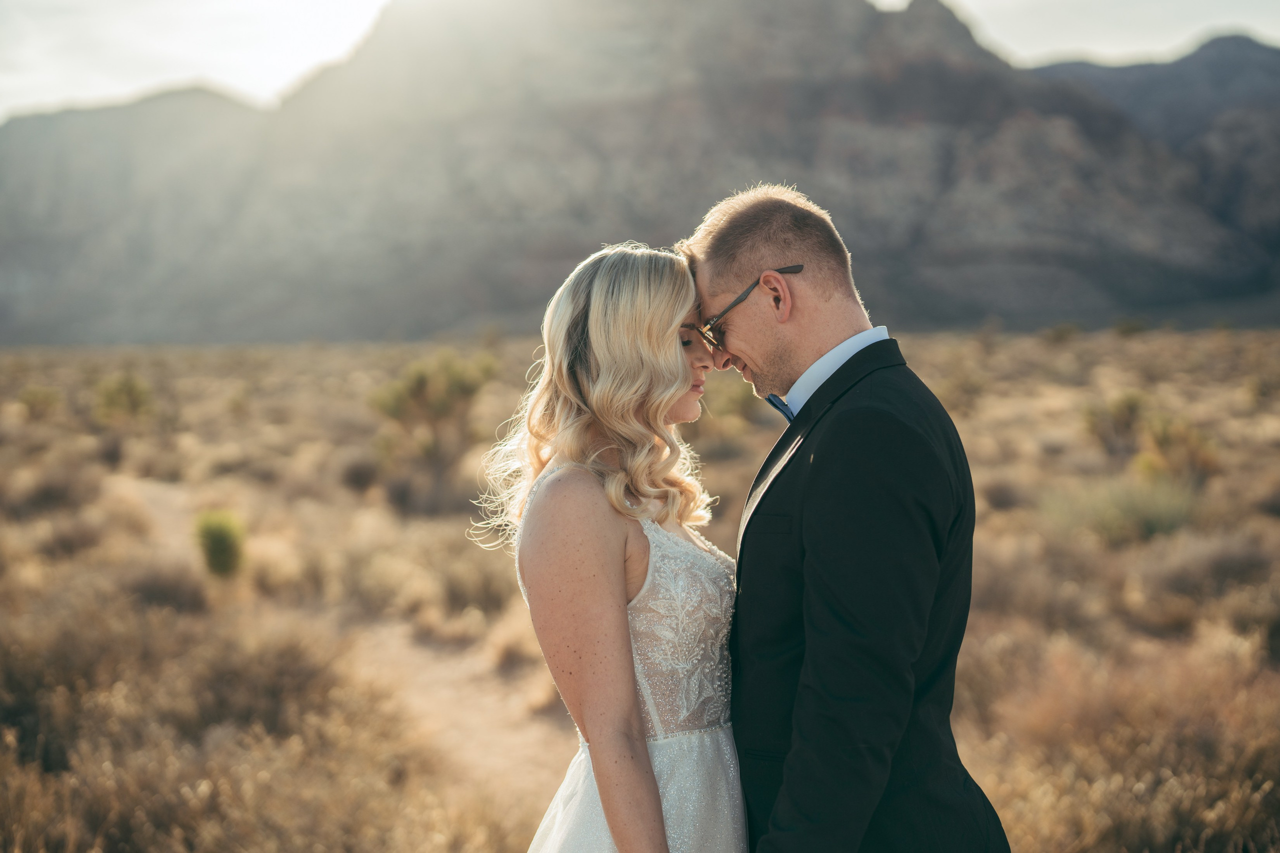 Yrina&Miroslav. Wedding & elopement photographer Viktoriya Kravtsov. Las Vegas