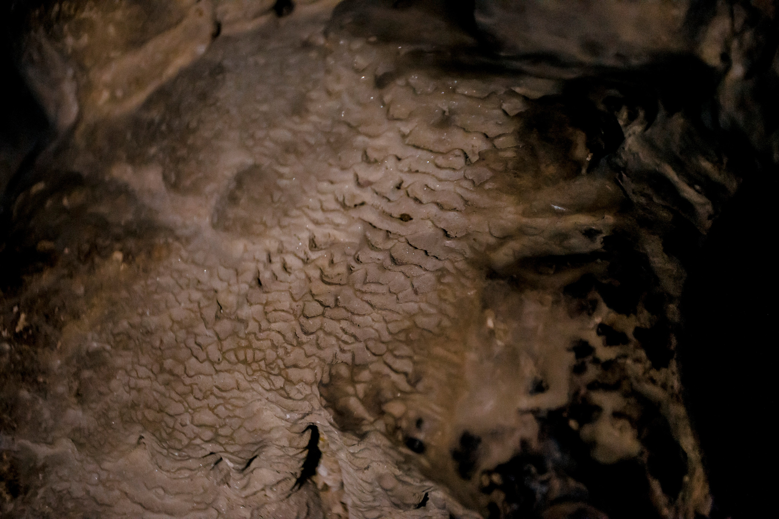 Andaman Islands, Part2. Art Photographer