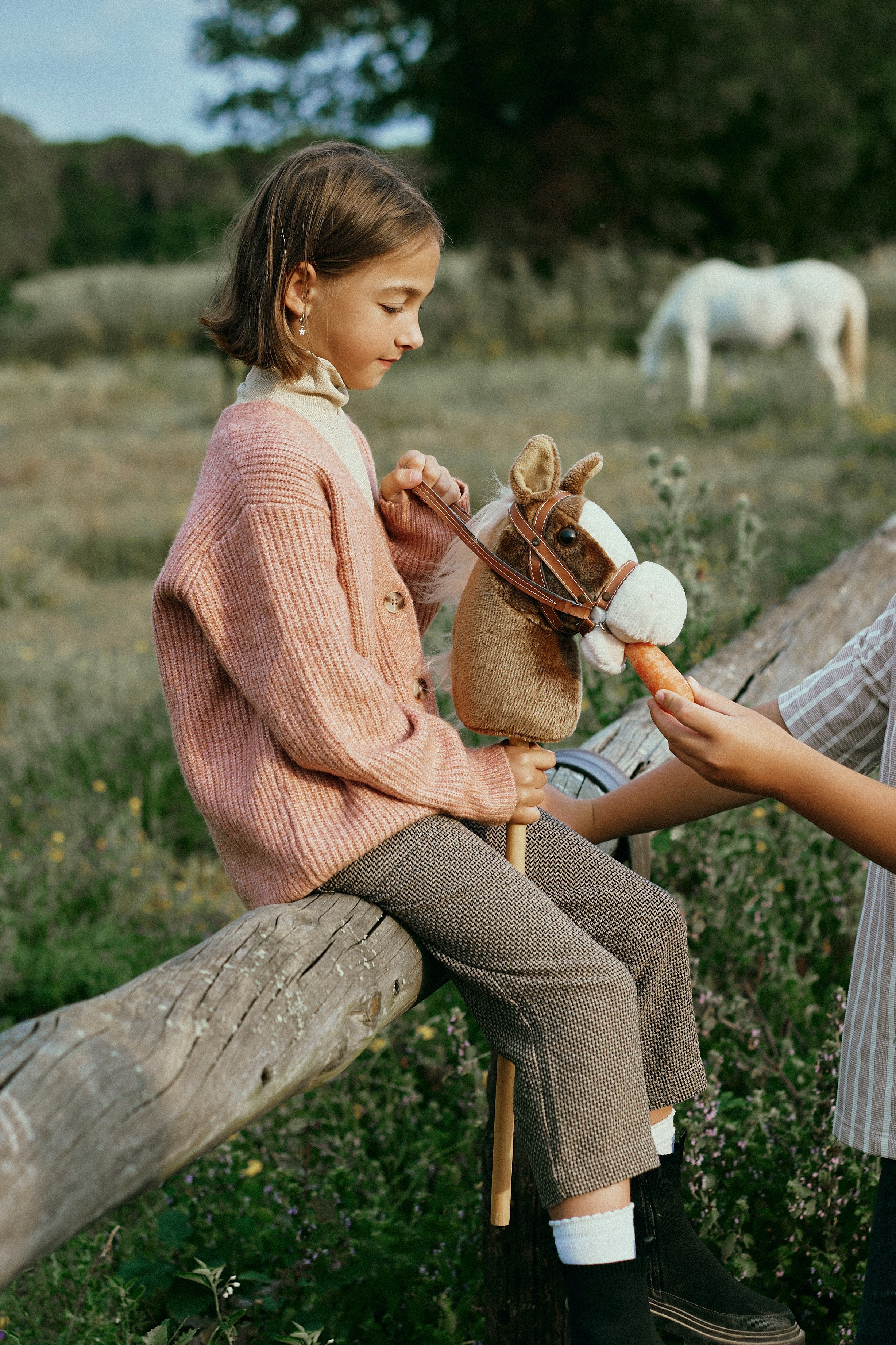 Летний день с лошадьми. Fotógrafa en España Zhanna Zakharchenko