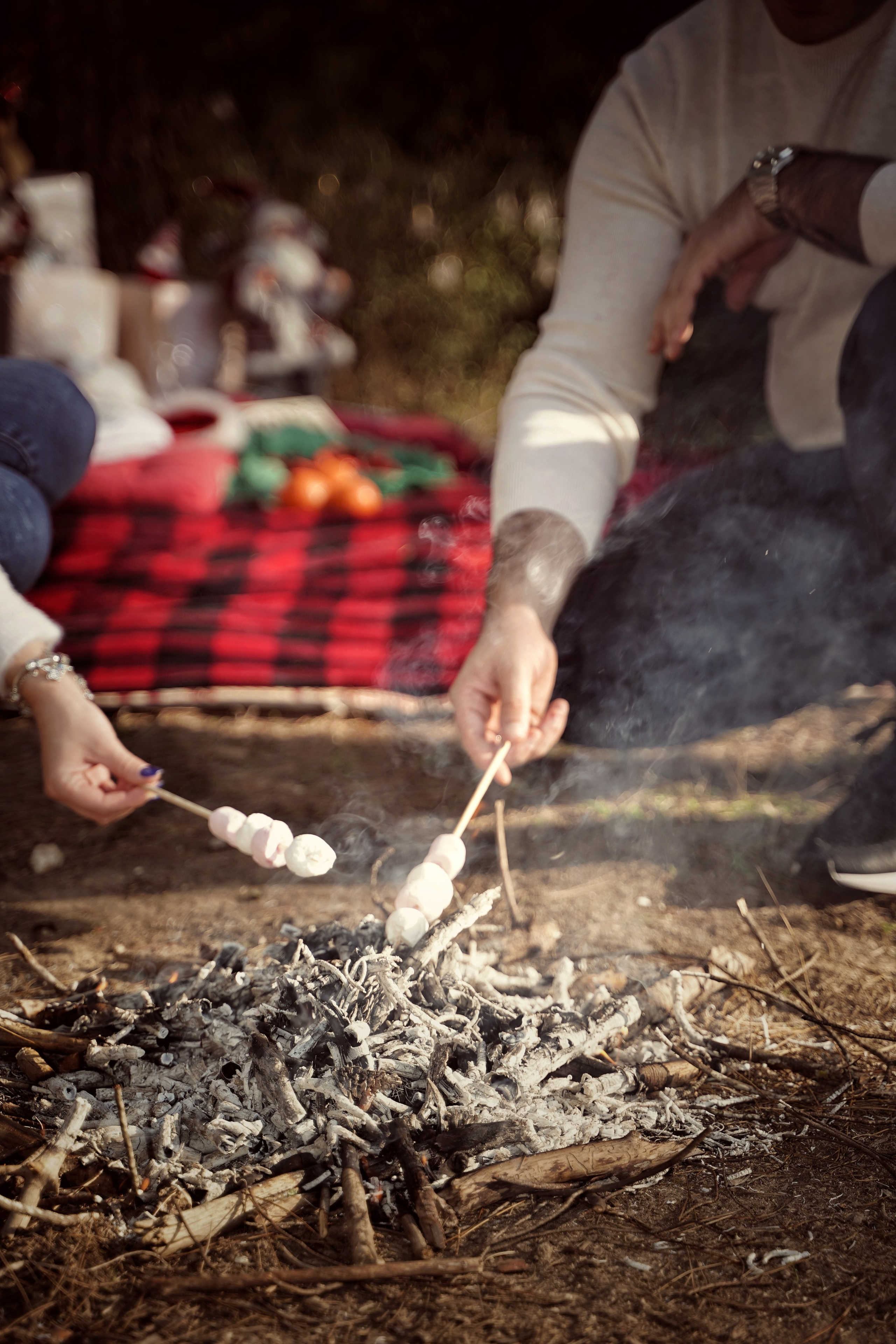 Новый год в лесу. Фотограф. Визуал. Хайфа. Талья Цветкова