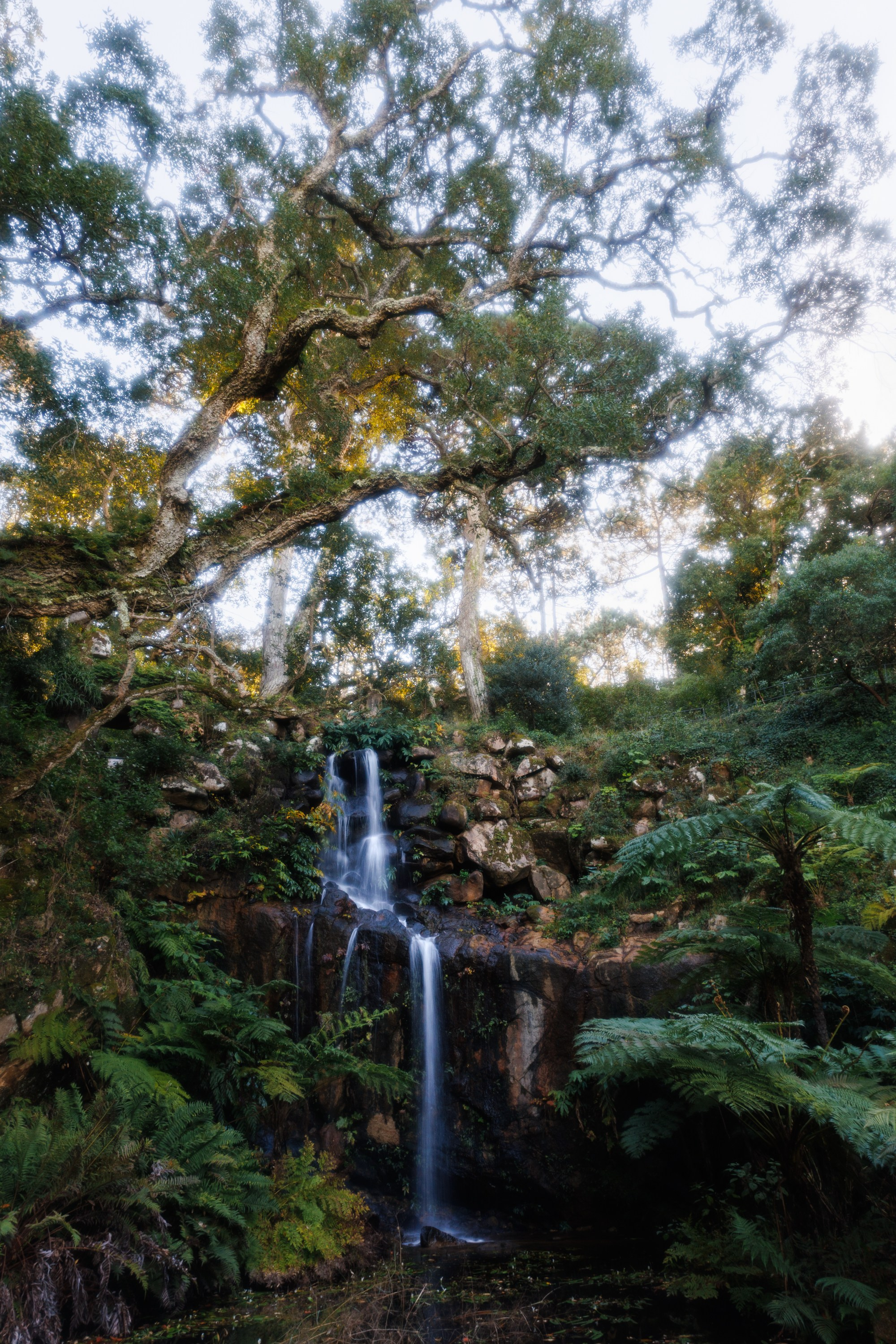 Interior photography. Photographer in Lisbon Elena Lialina