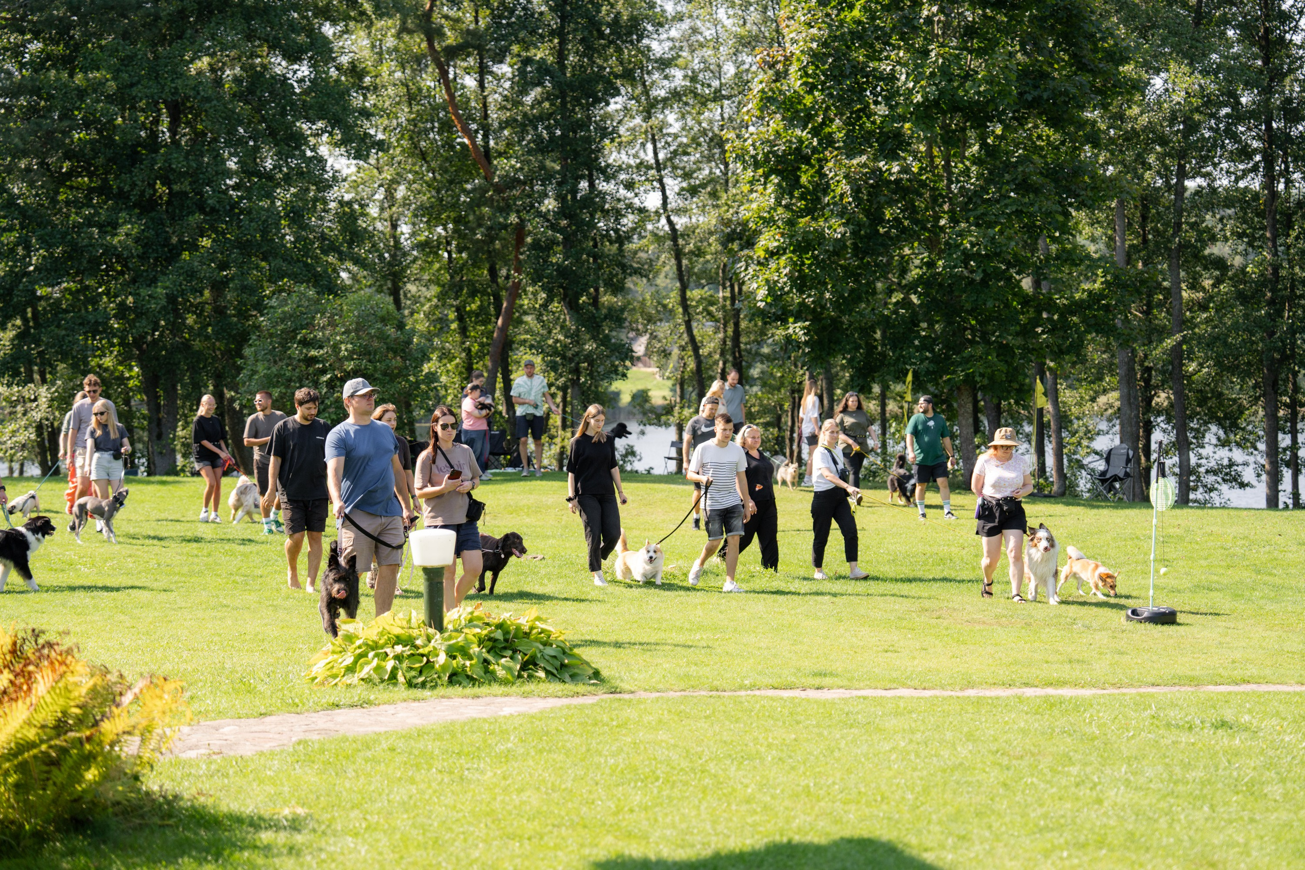 Heppi Dogo fest 2025. Vita Klimaševska ○ Fluffy Soulmate Photography